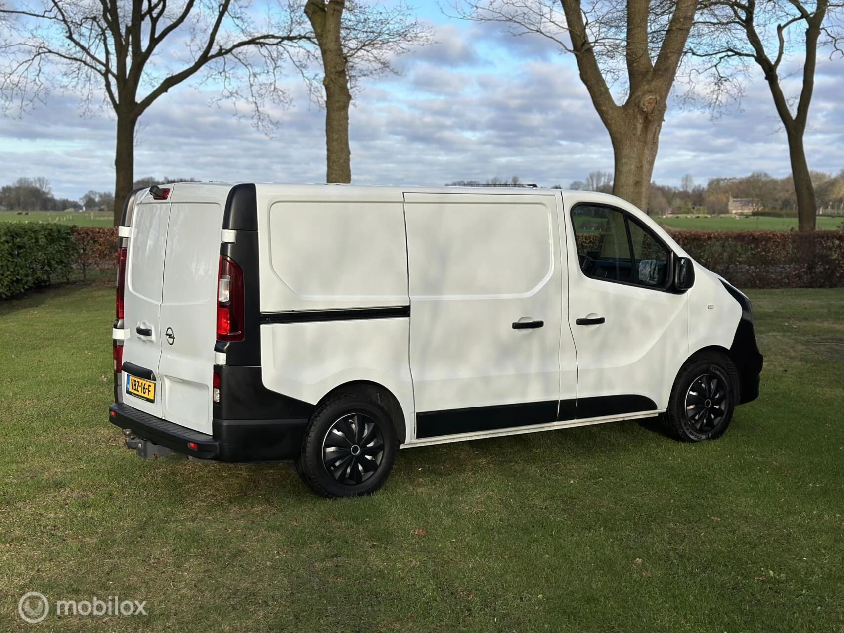 Hoofdafbeelding Opel Vivaro