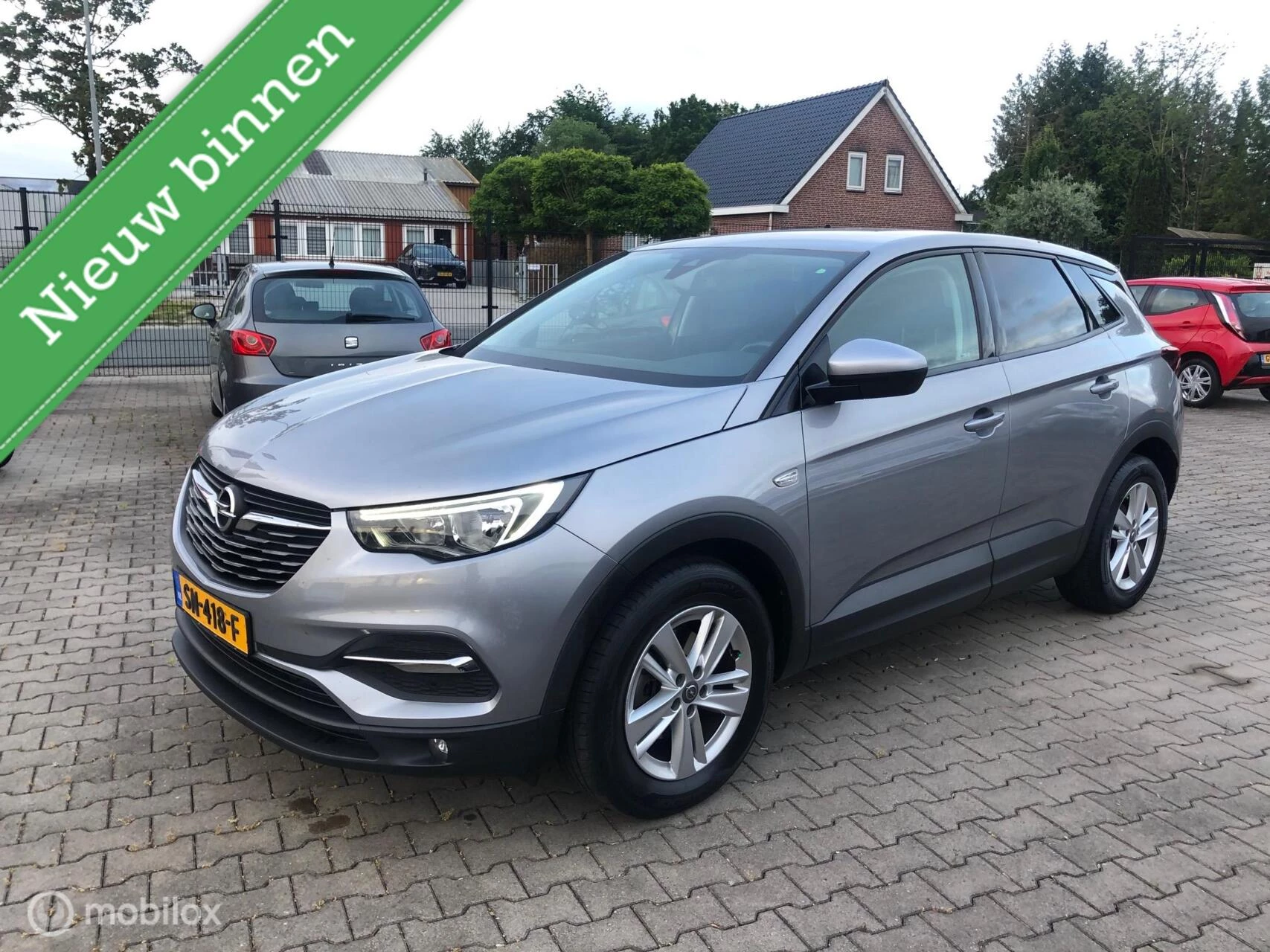Hoofdafbeelding Opel Grandland X