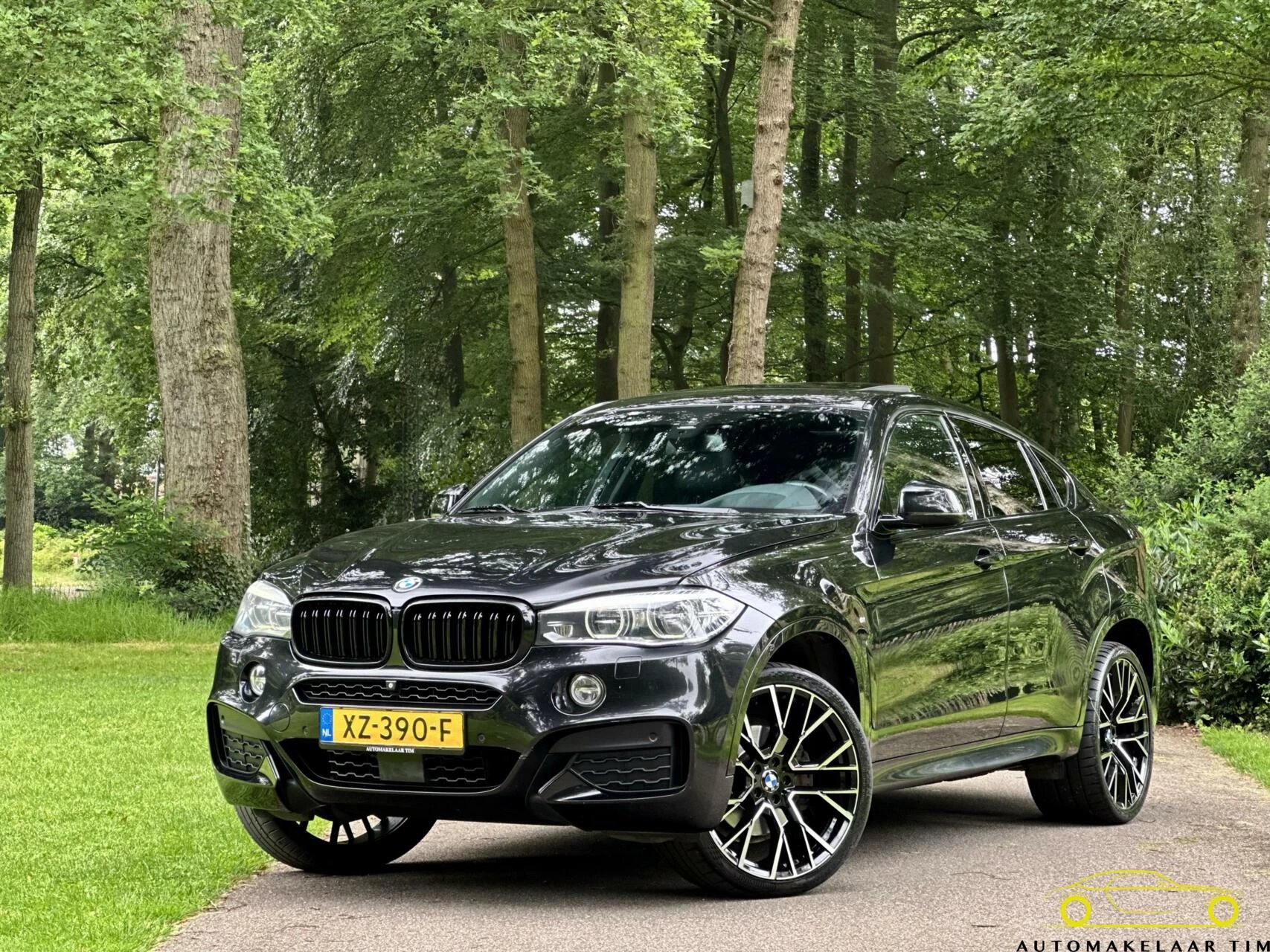 Hoofdafbeelding BMW X6