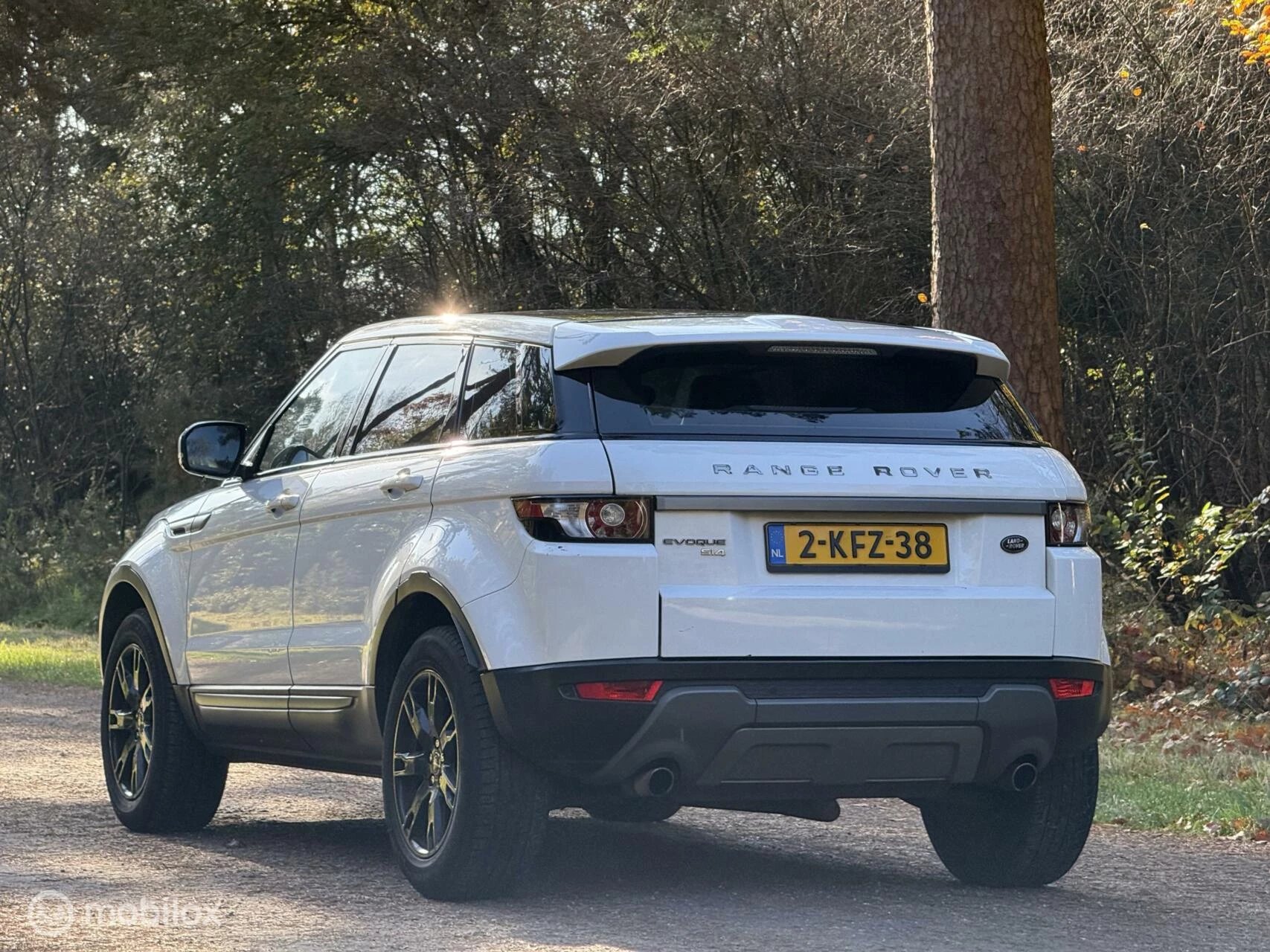 Hoofdafbeelding Land Rover Range Rover Evoque