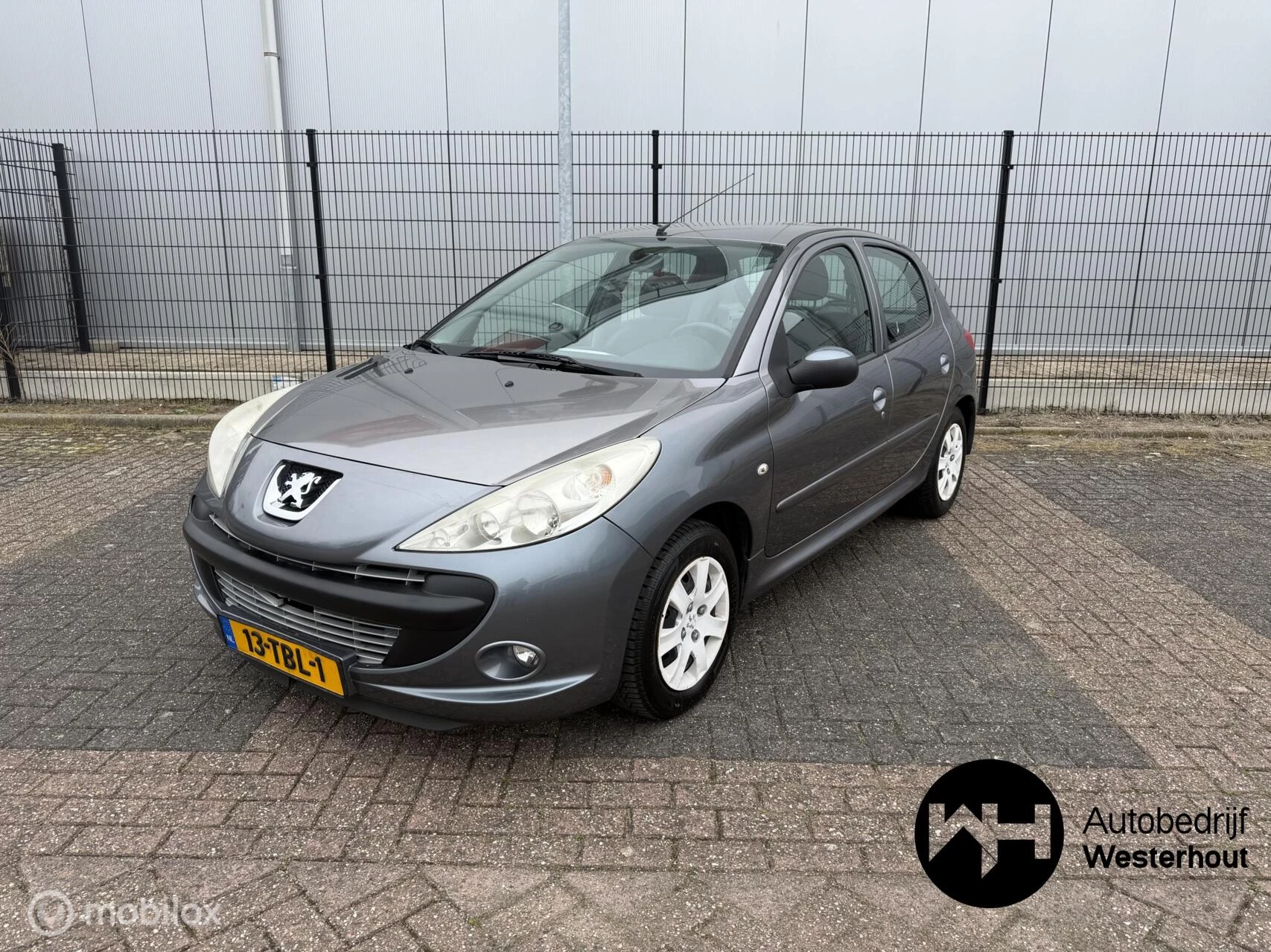 Hoofdafbeelding Peugeot 206