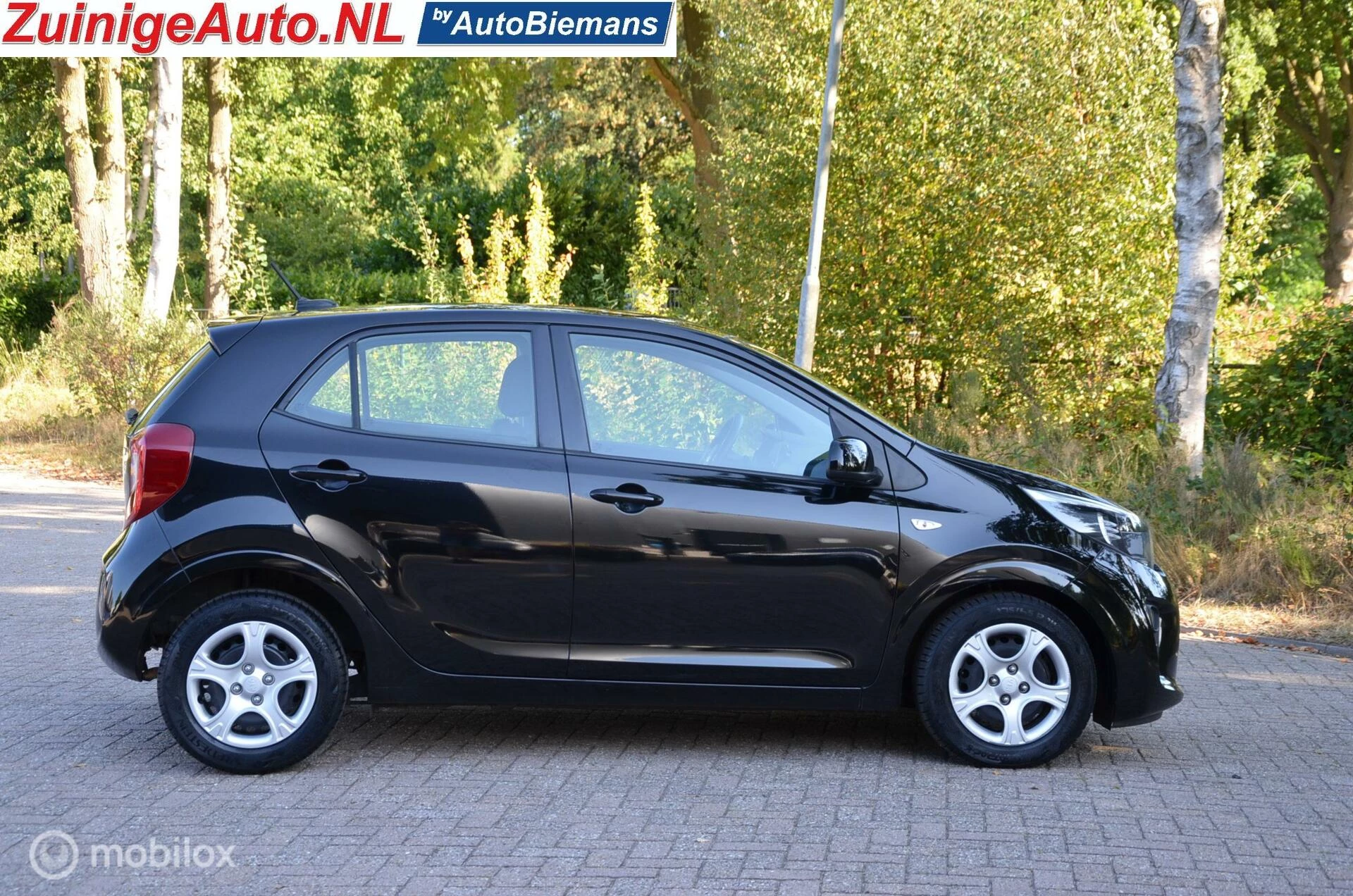 Hoofdafbeelding Kia Picanto