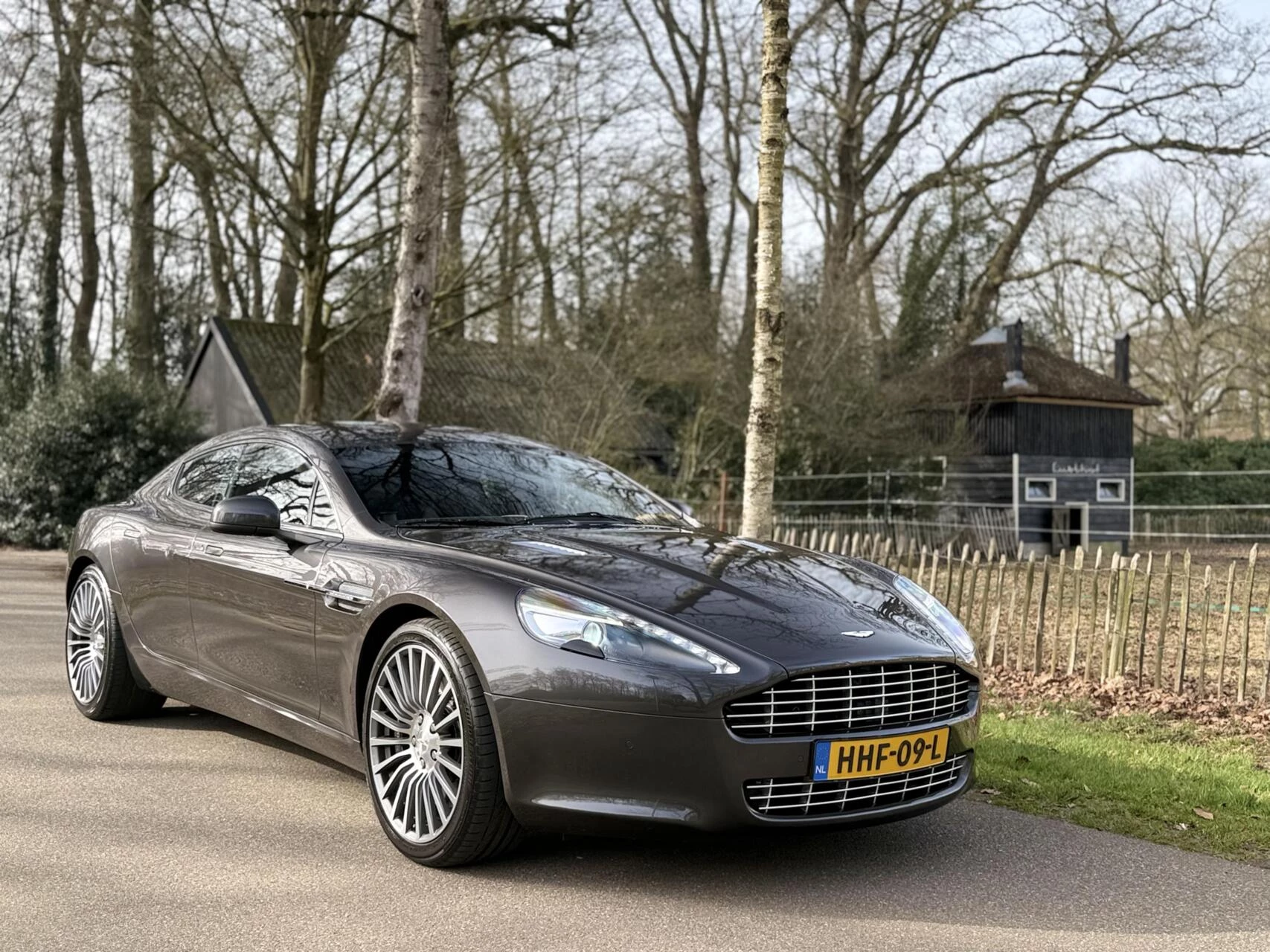 Hoofdafbeelding Aston Martin Rapide