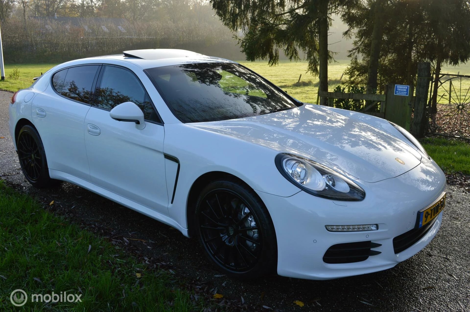 Hoofdafbeelding Porsche Panamera