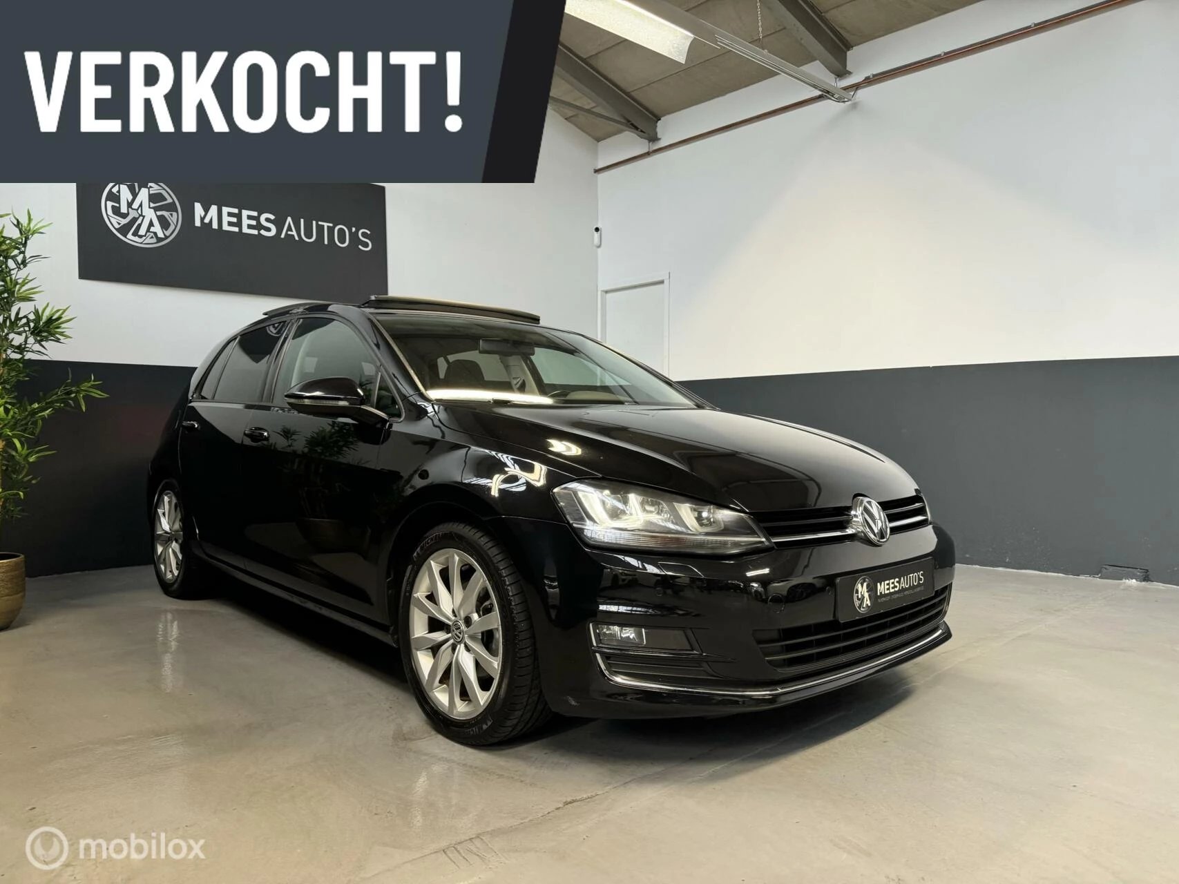 Hoofdafbeelding Volkswagen Golf