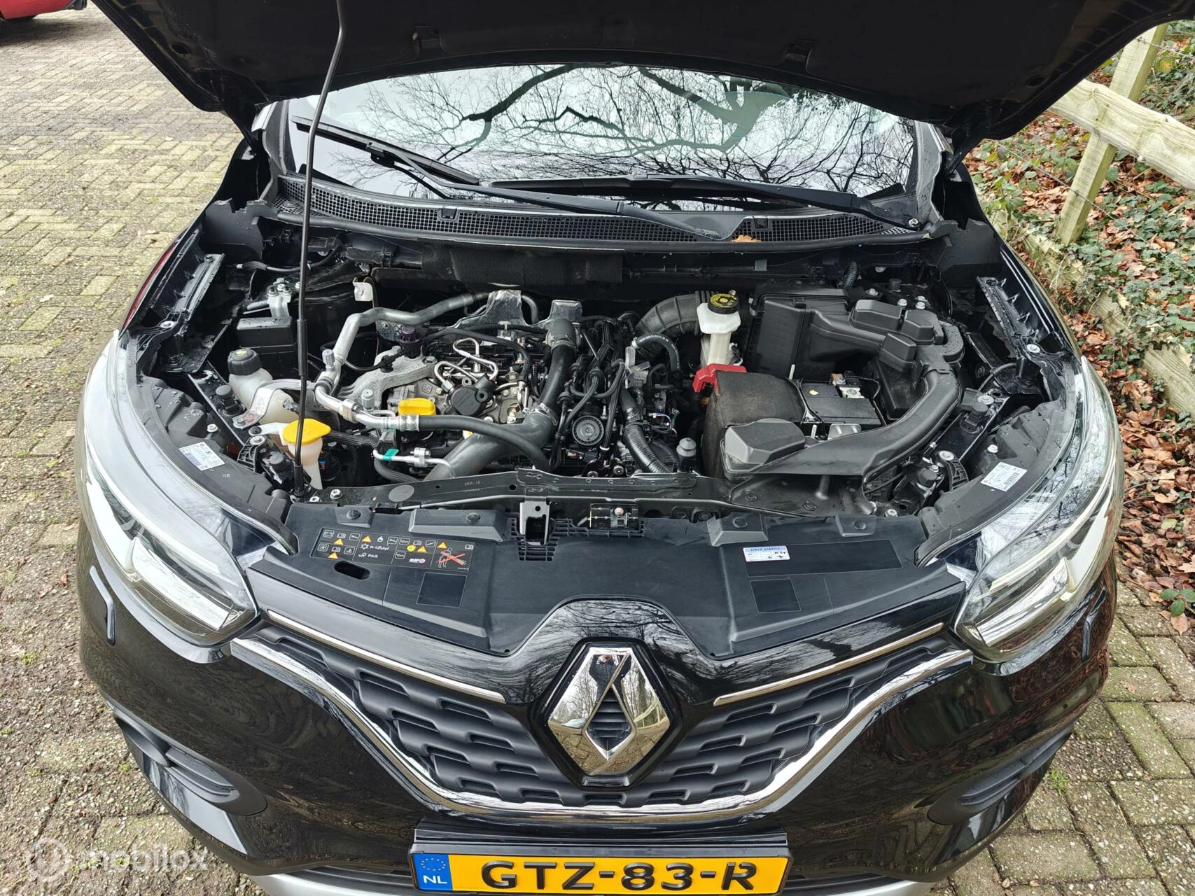 Hoofdafbeelding Renault Kadjar