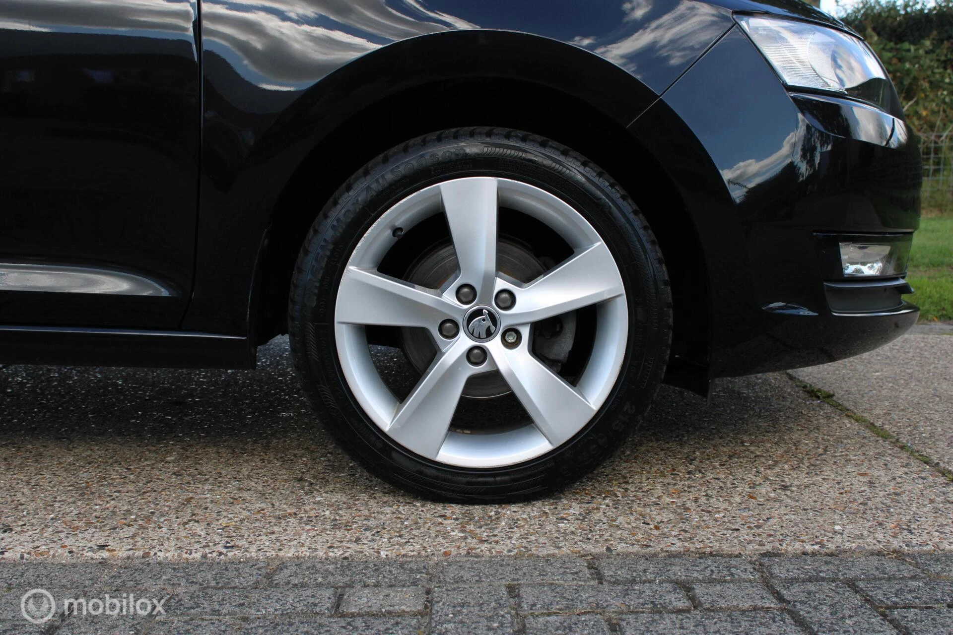 Hoofdafbeelding Škoda Rapid