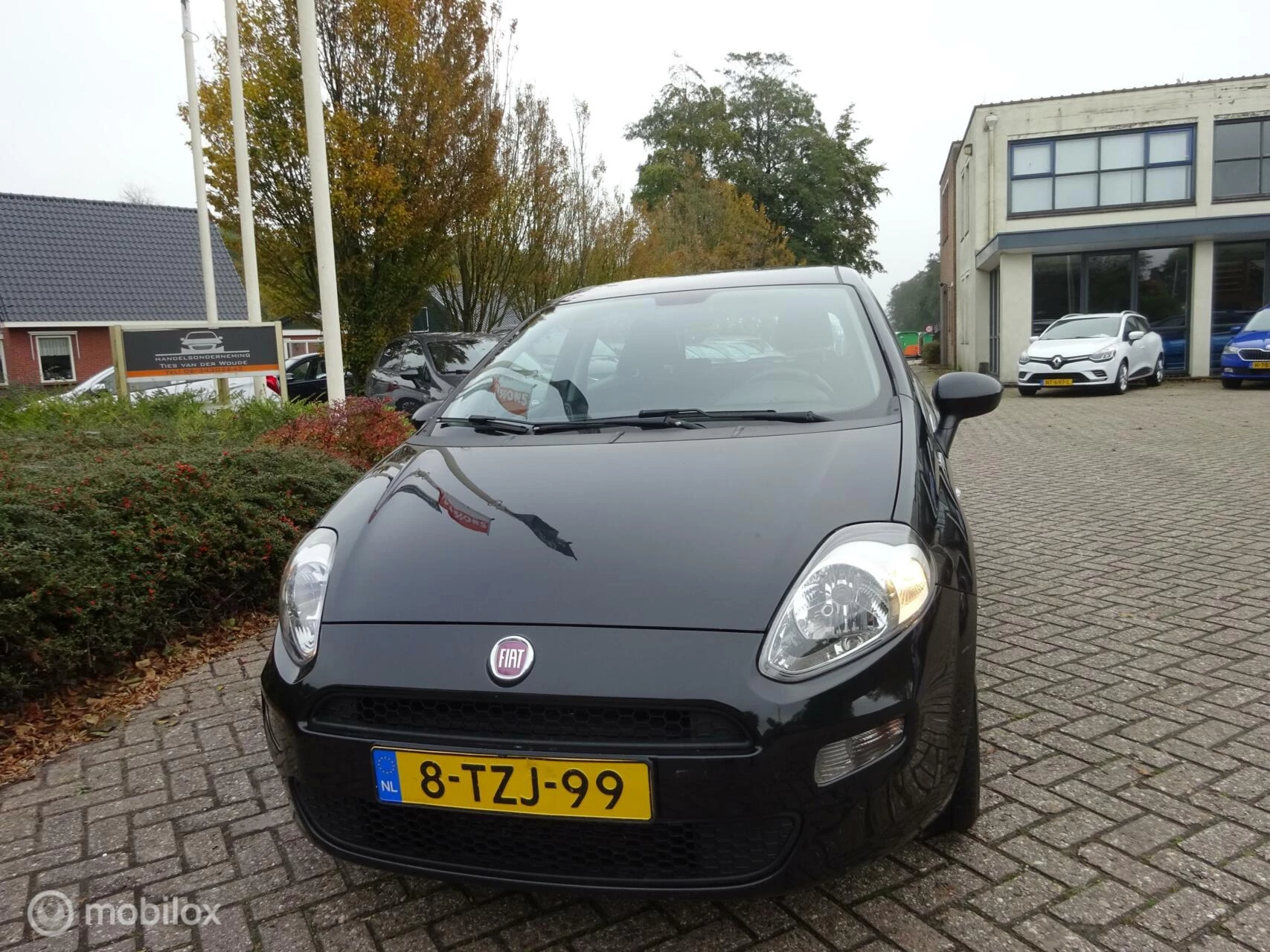 Hoofdafbeelding Fiat Punto