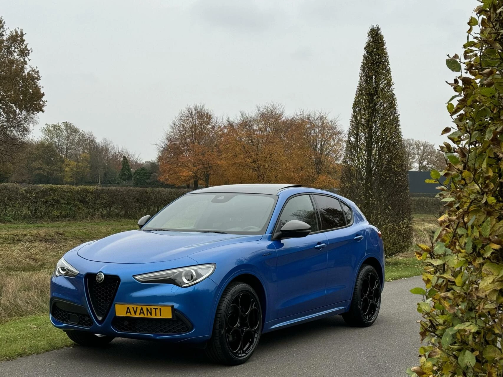 Hoofdafbeelding Alfa Romeo Stelvio