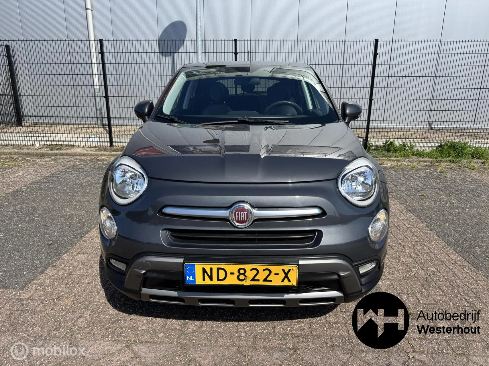 Hoofdafbeelding Fiat 500X