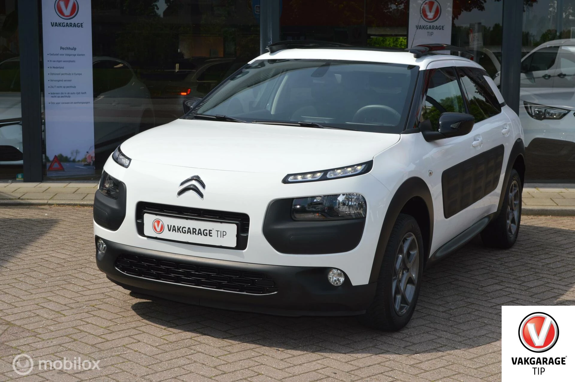 Hoofdafbeelding Citroën C4 Cactus