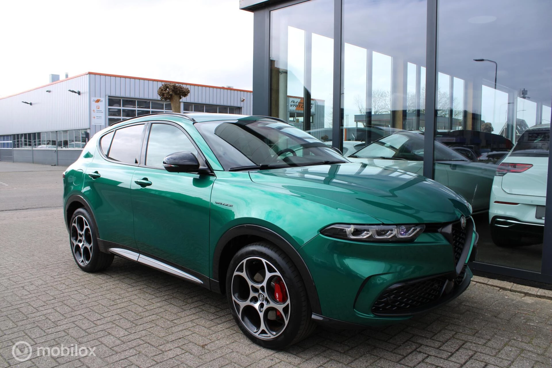 Hoofdafbeelding Alfa Romeo Tonale