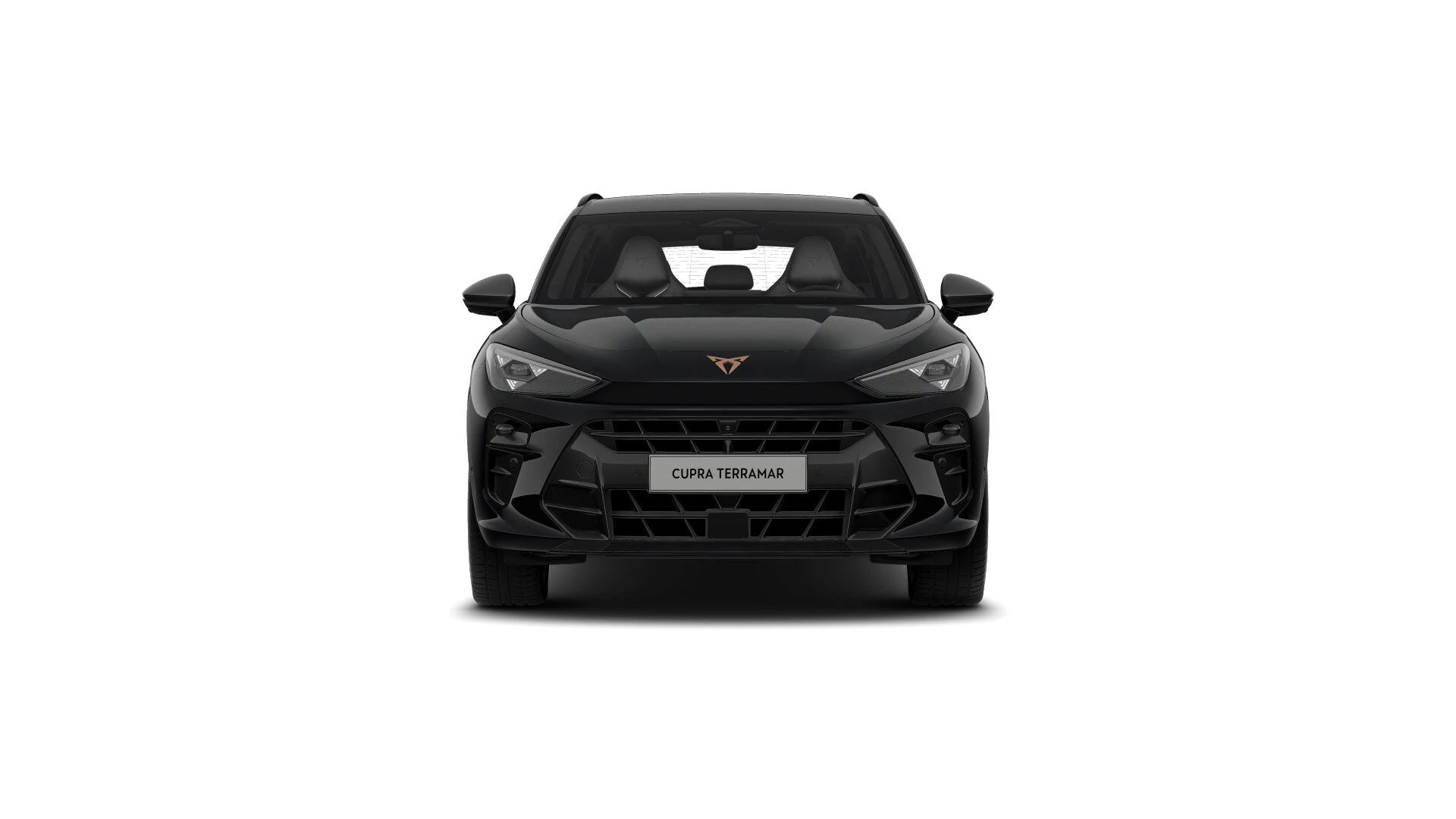 Hoofdafbeelding CUPRA Terramar