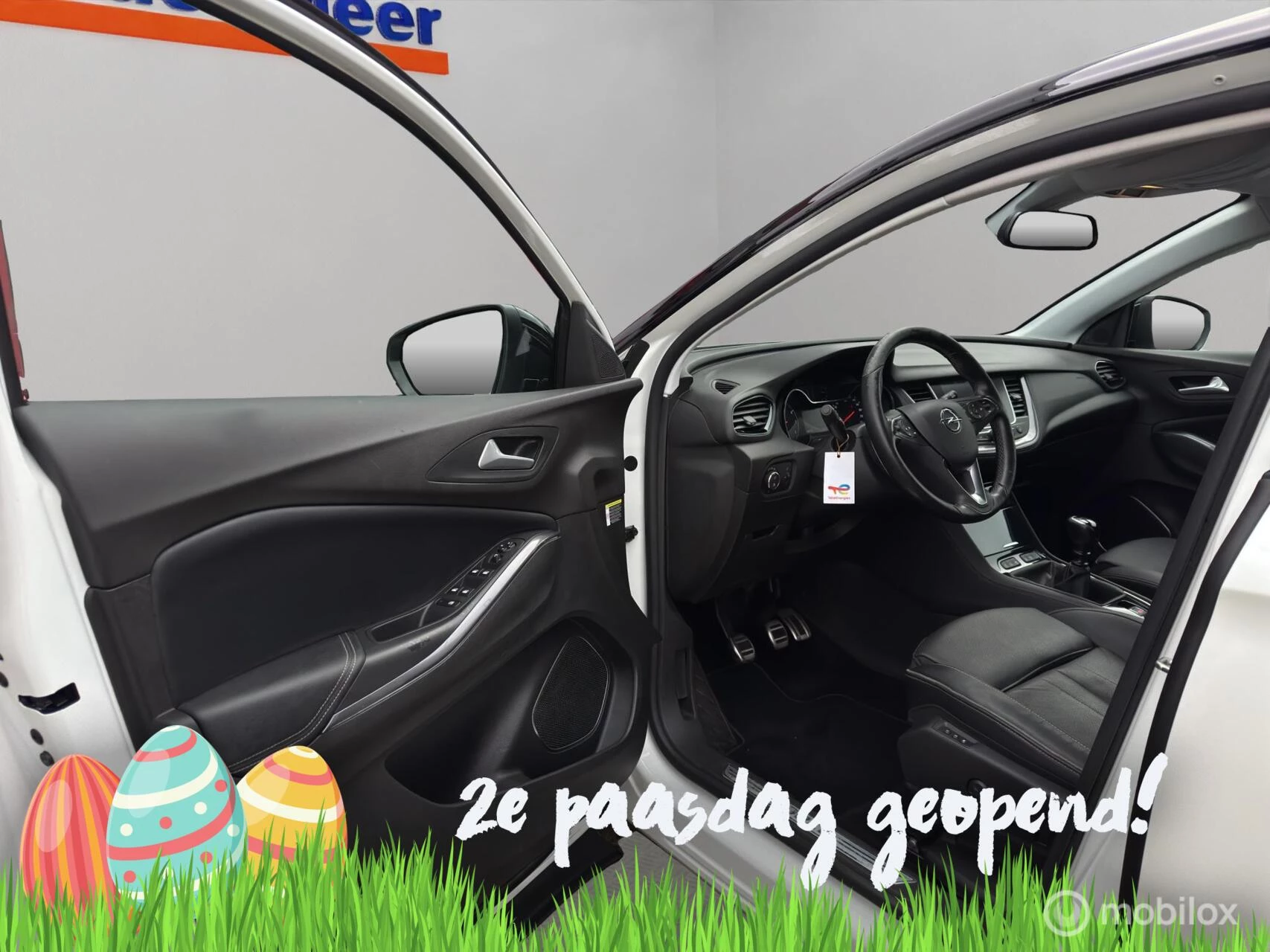 Hoofdafbeelding Opel Grandland X