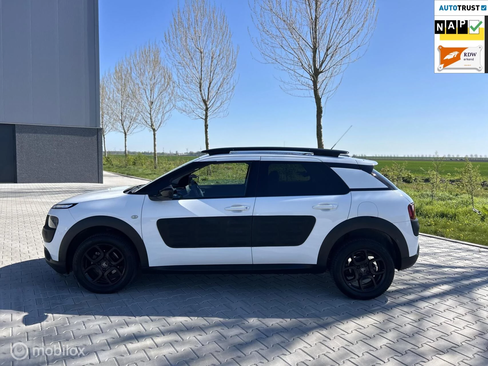 Hoofdafbeelding Citroën C4 Cactus