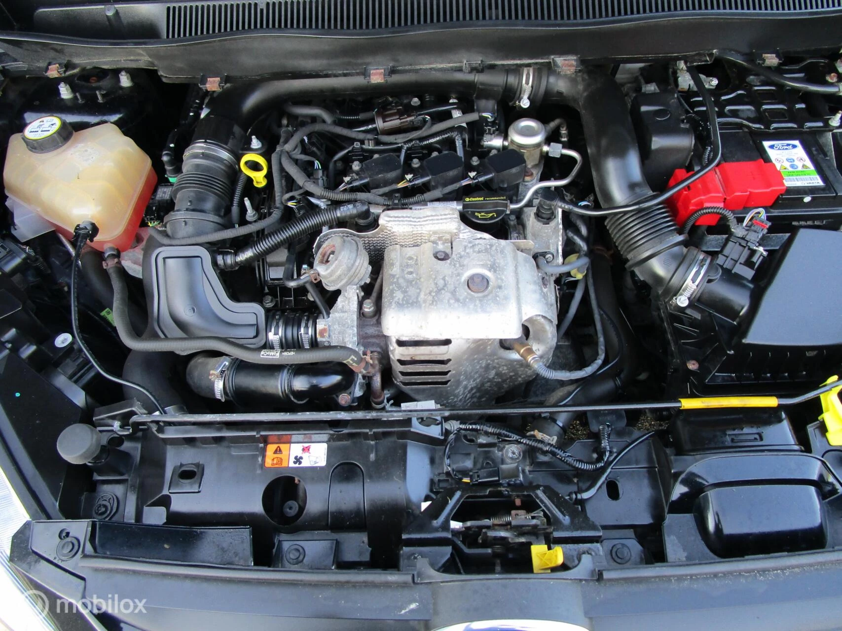 Hoofdafbeelding Ford B-MAX