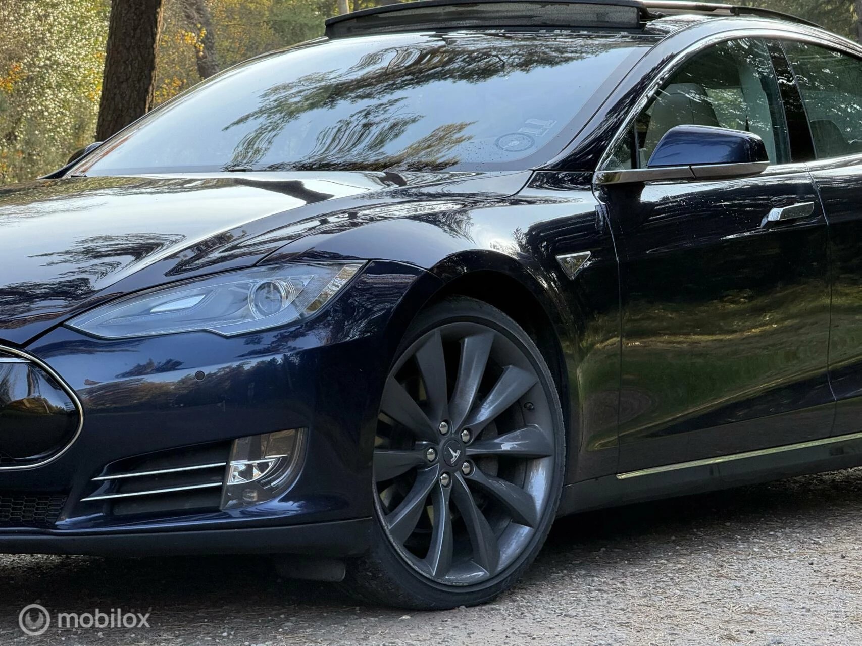 Hoofdafbeelding Tesla Model S