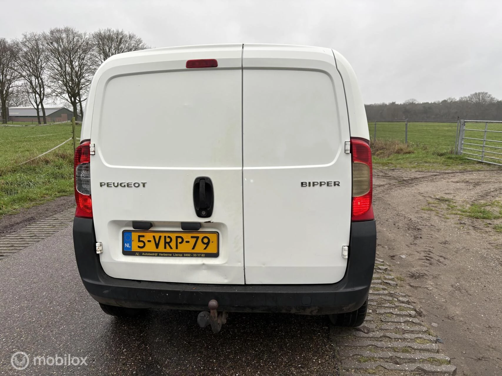 Hoofdafbeelding Peugeot Bipper