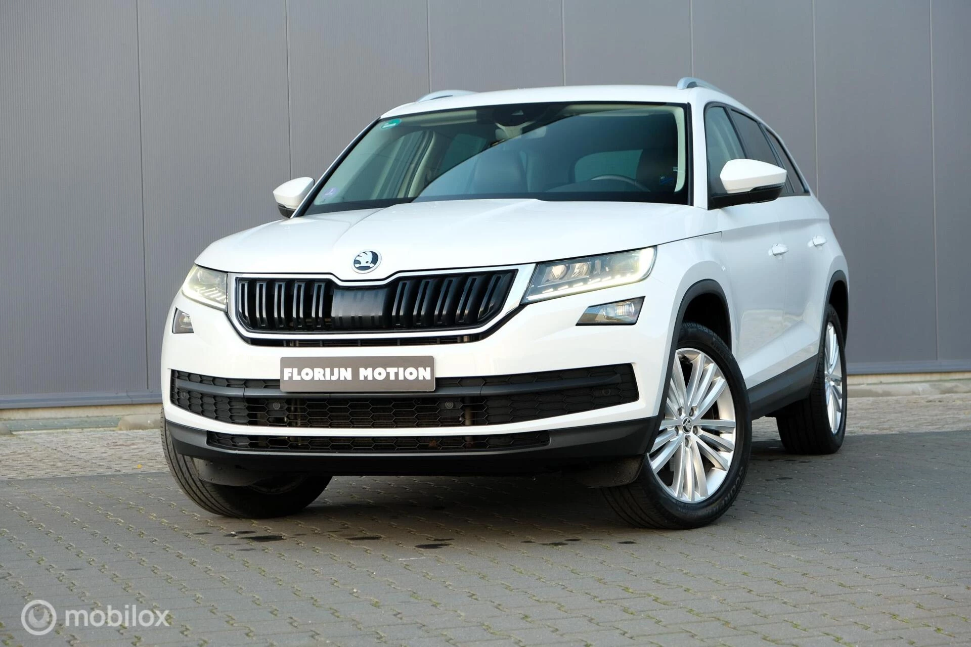 Hoofdafbeelding Škoda Kodiaq