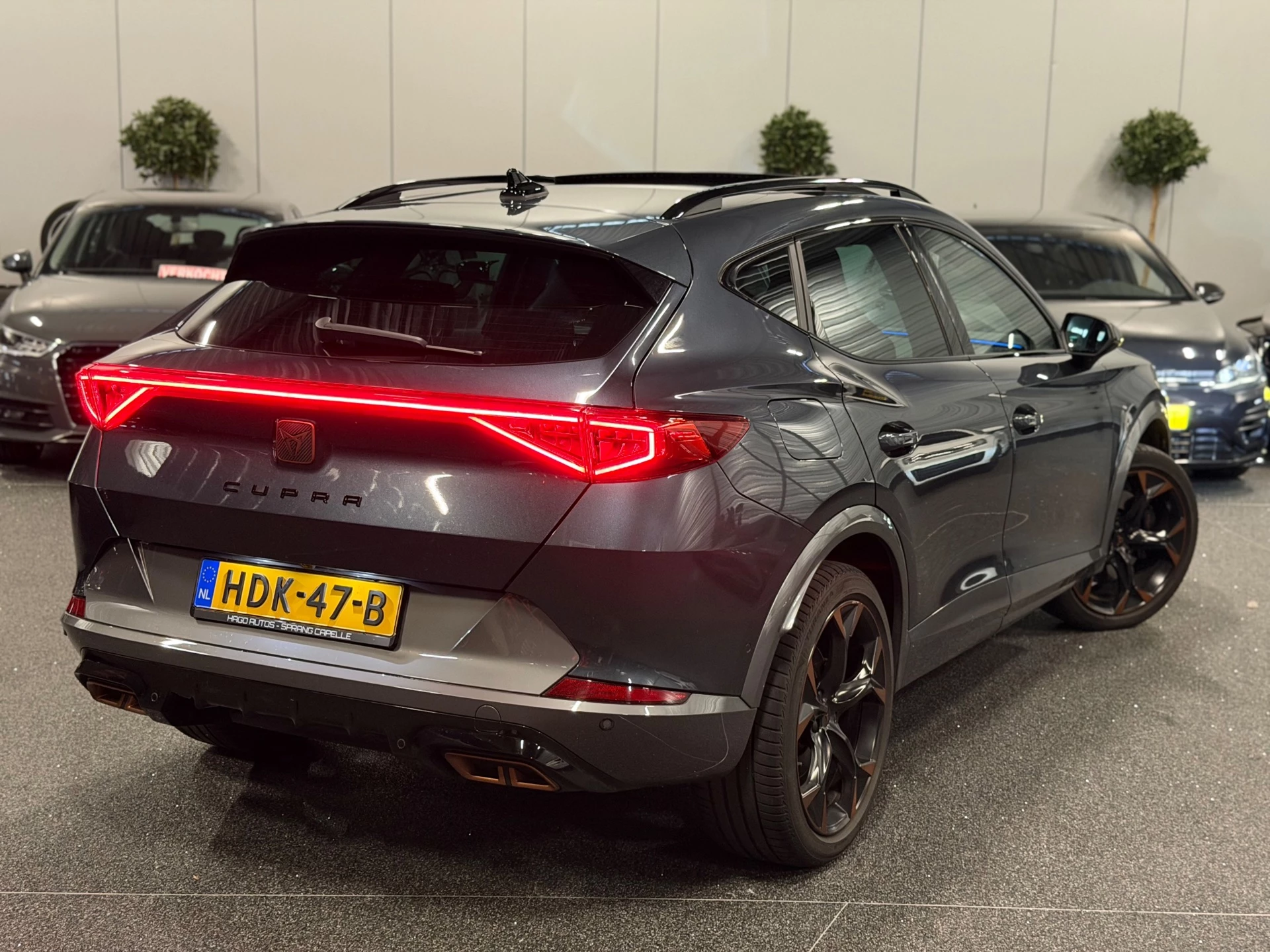 Hoofdafbeelding CUPRA Formentor