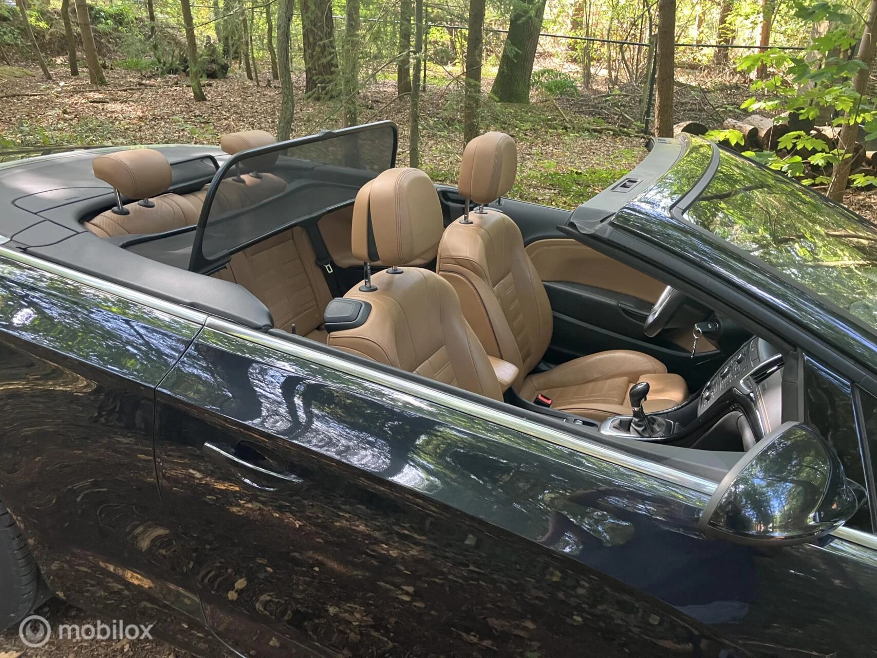 Hoofdafbeelding Opel Cascada