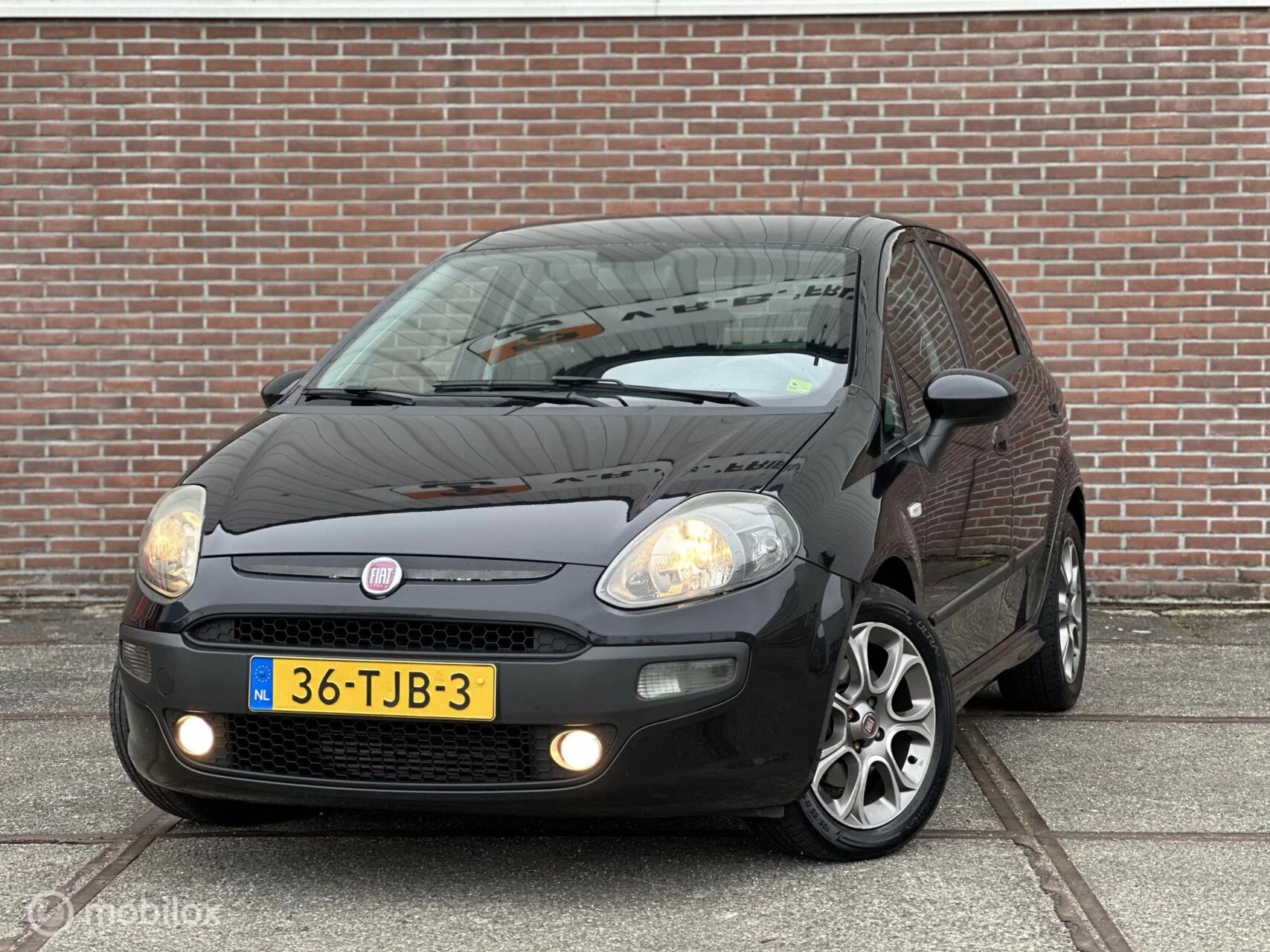 Hoofdafbeelding Fiat Punto