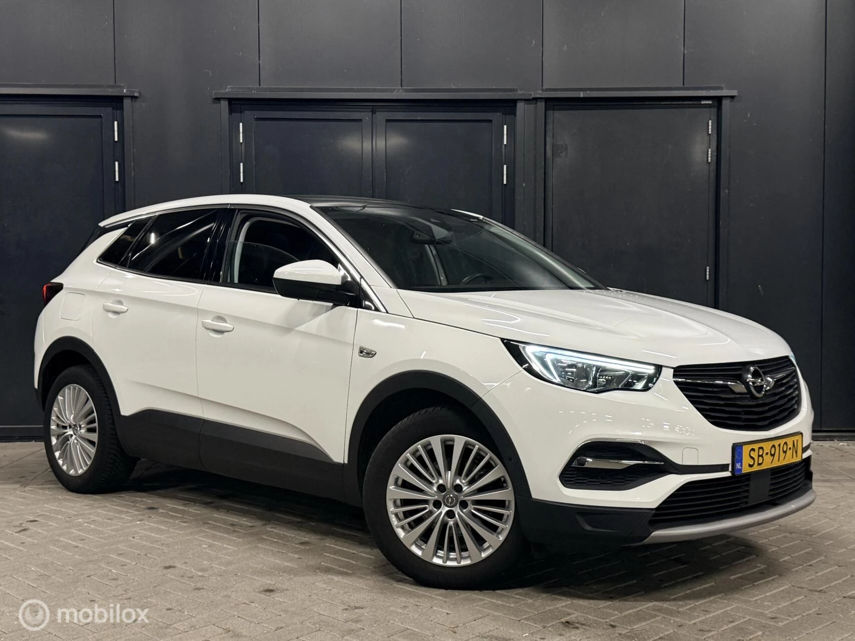 Hoofdafbeelding Opel Grandland X