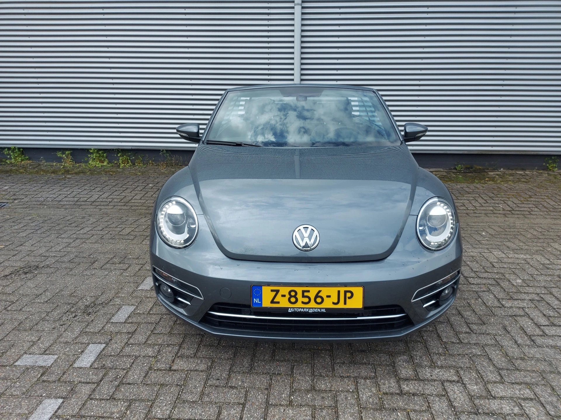 Hoofdafbeelding Volkswagen Beetle