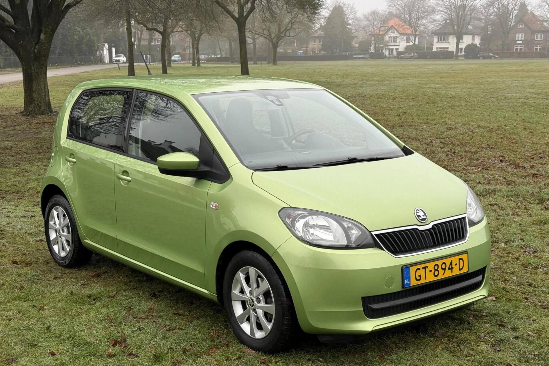 Hoofdafbeelding Škoda Citigo