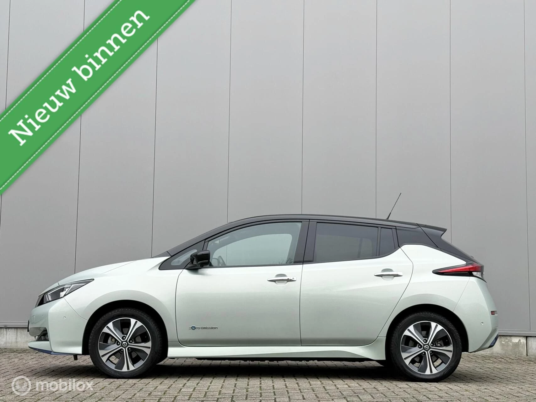 Hoofdafbeelding Nissan Leaf