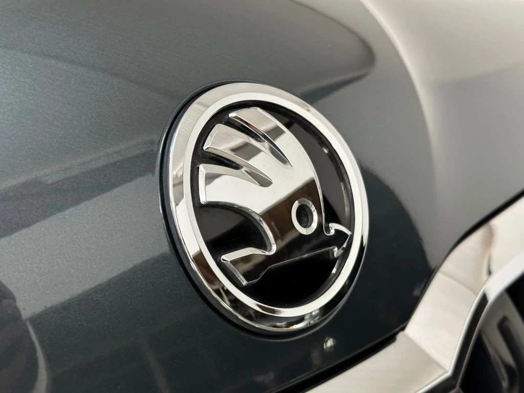 Hoofdafbeelding Škoda Kamiq