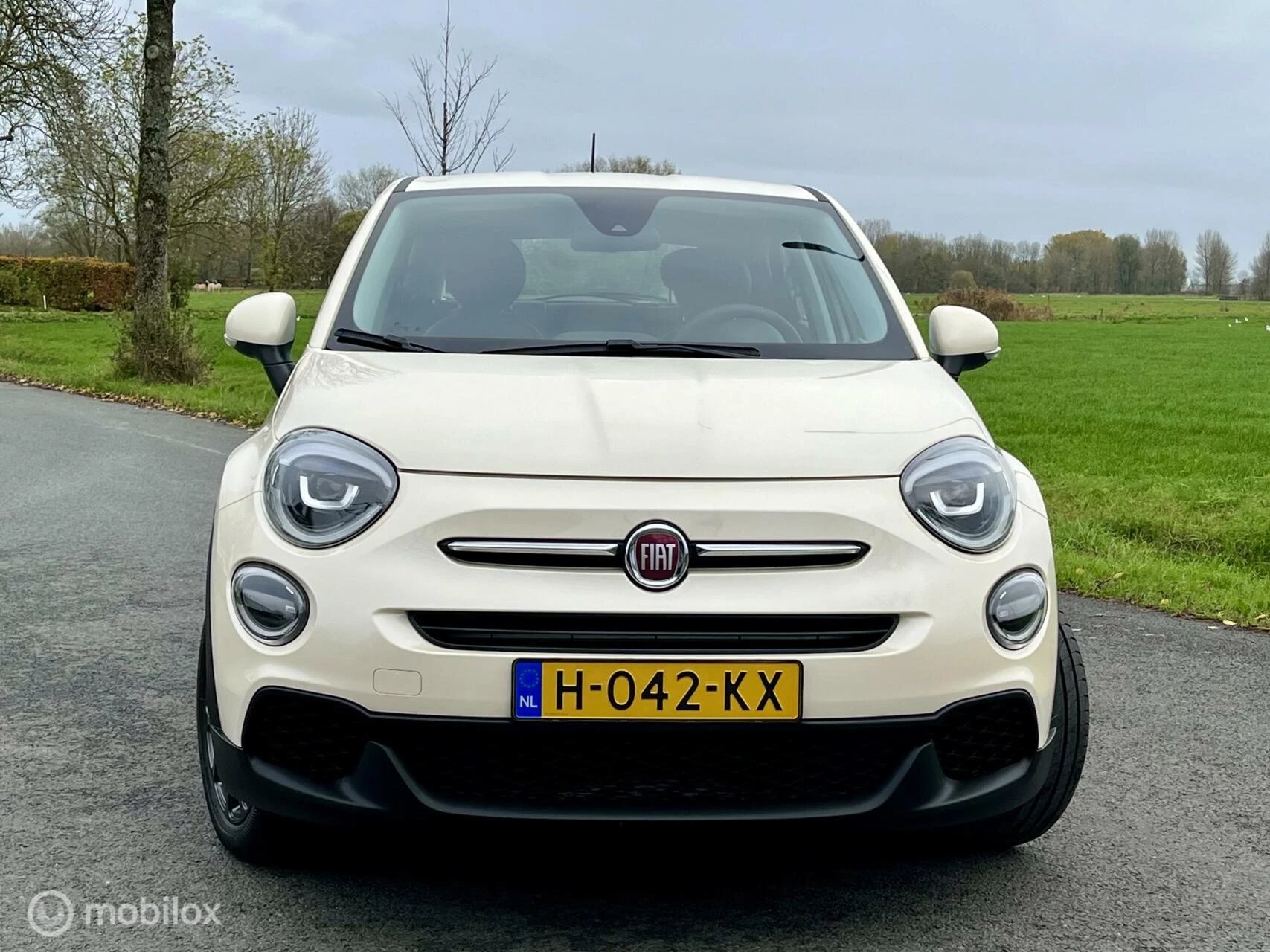 Hoofdafbeelding Fiat 500X