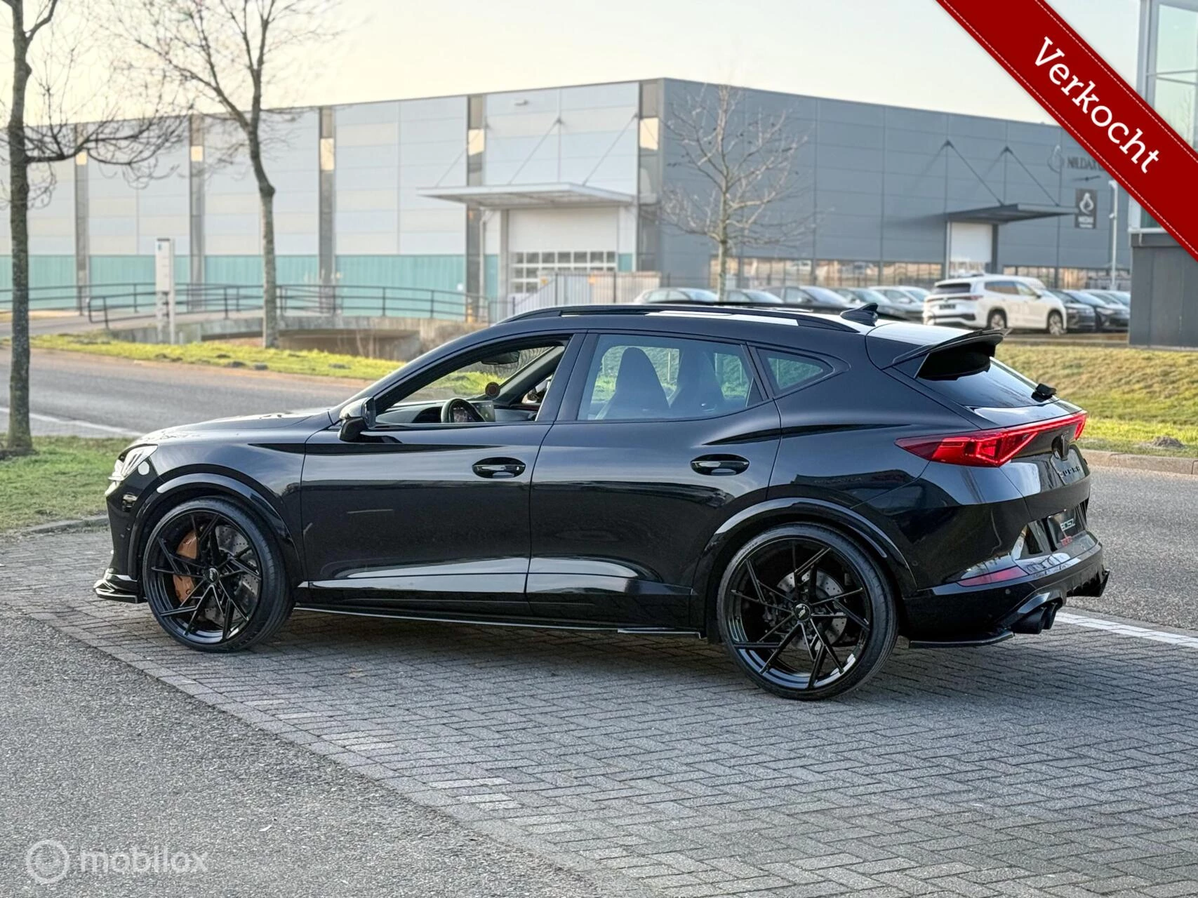Hoofdafbeelding CUPRA Formentor