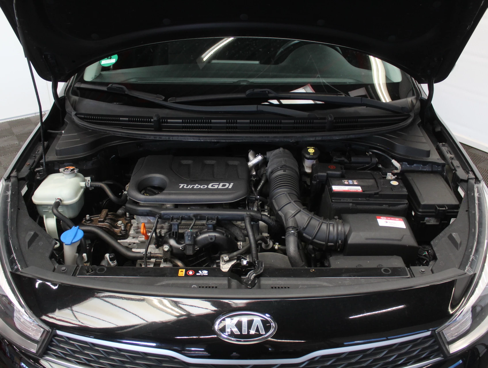 Hoofdafbeelding Kia Rio
