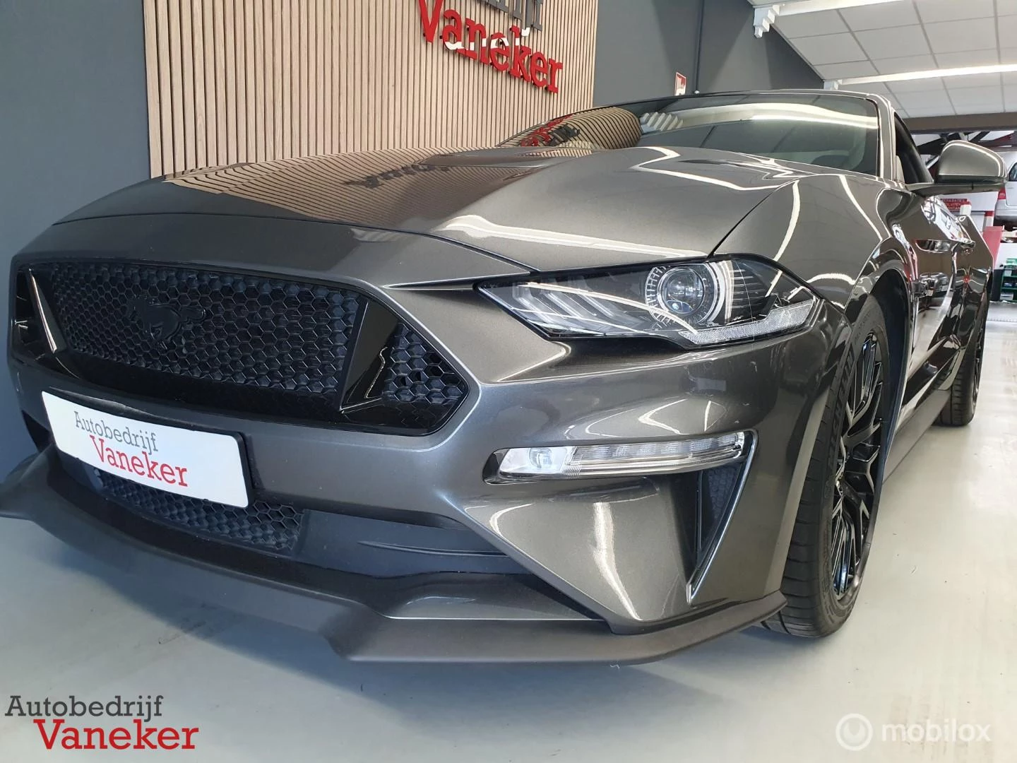 Hoofdafbeelding Ford Mustang