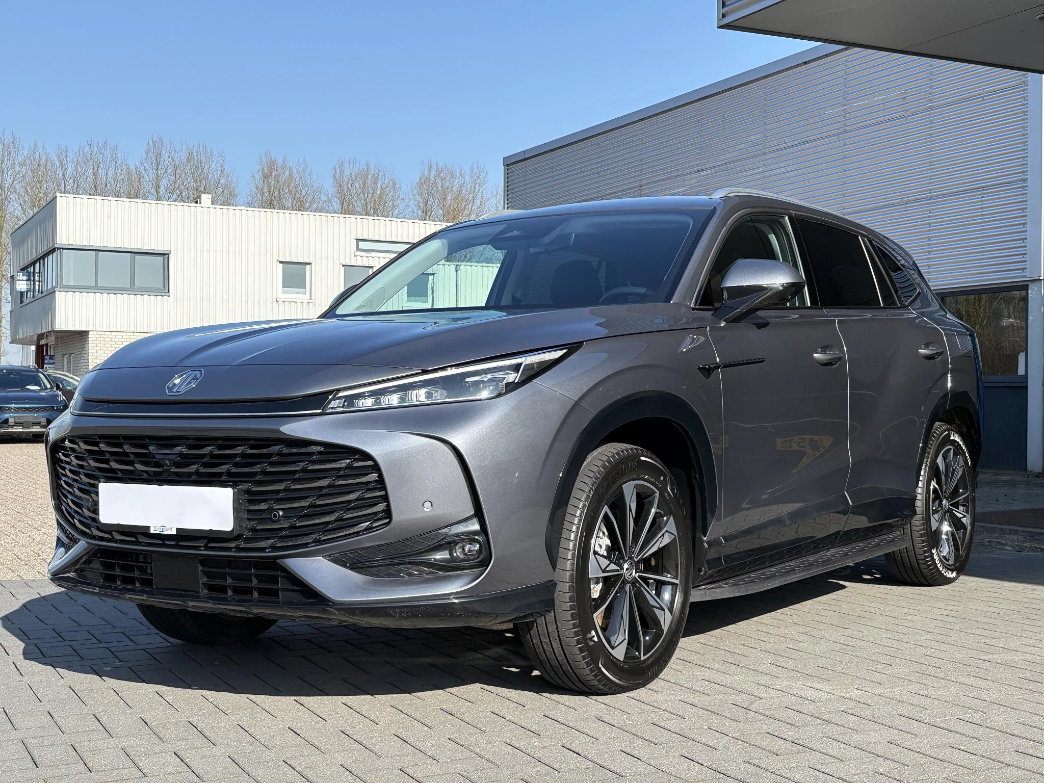 Hoofdafbeelding MG HS