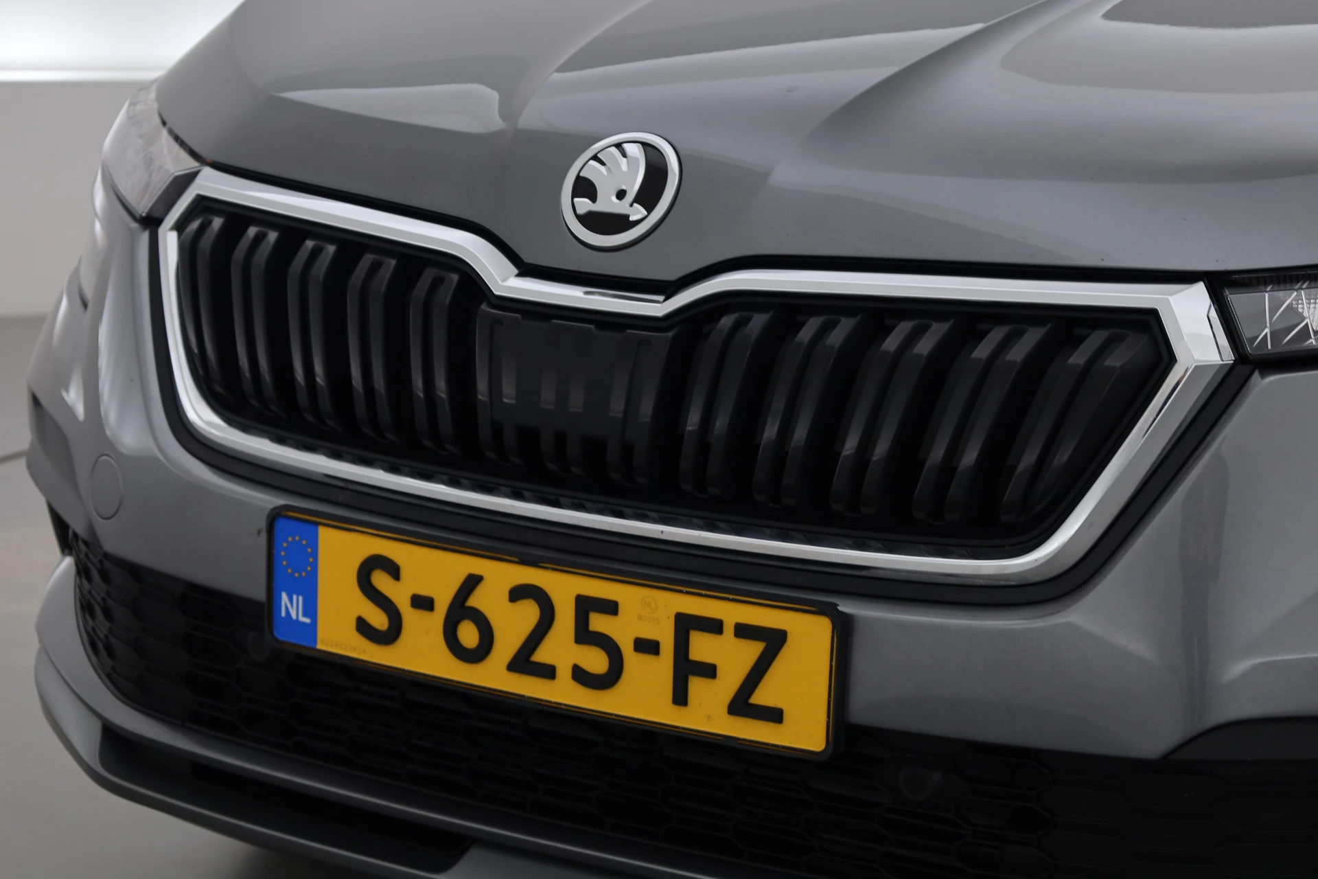 Hoofdafbeelding Škoda Kamiq