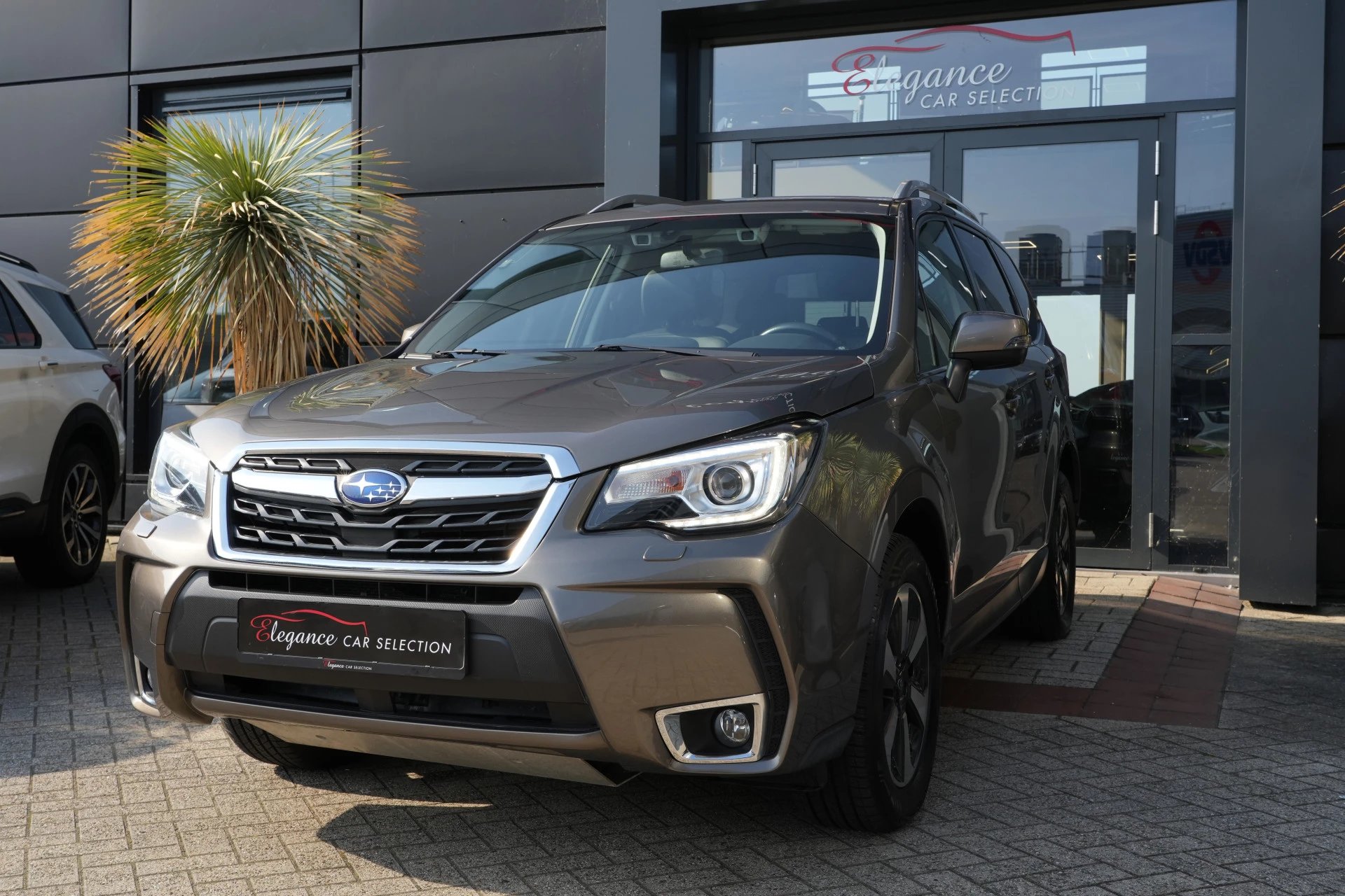 Hoofdafbeelding Subaru Forester