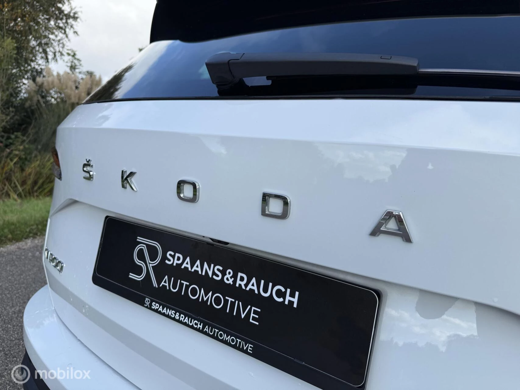 Hoofdafbeelding Škoda Karoq