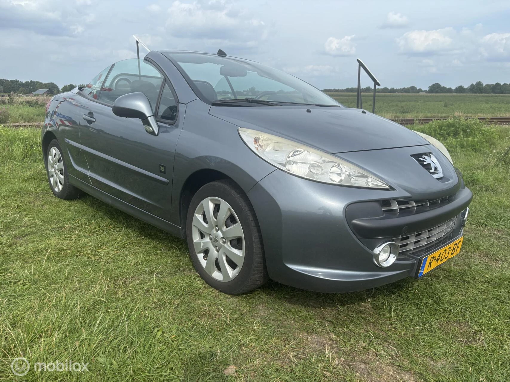 Hoofdafbeelding Peugeot 207