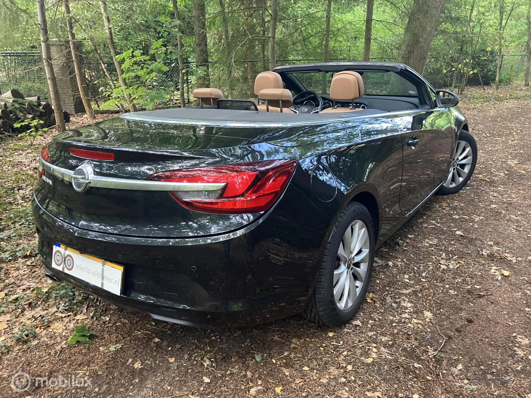 Hoofdafbeelding Opel Cascada