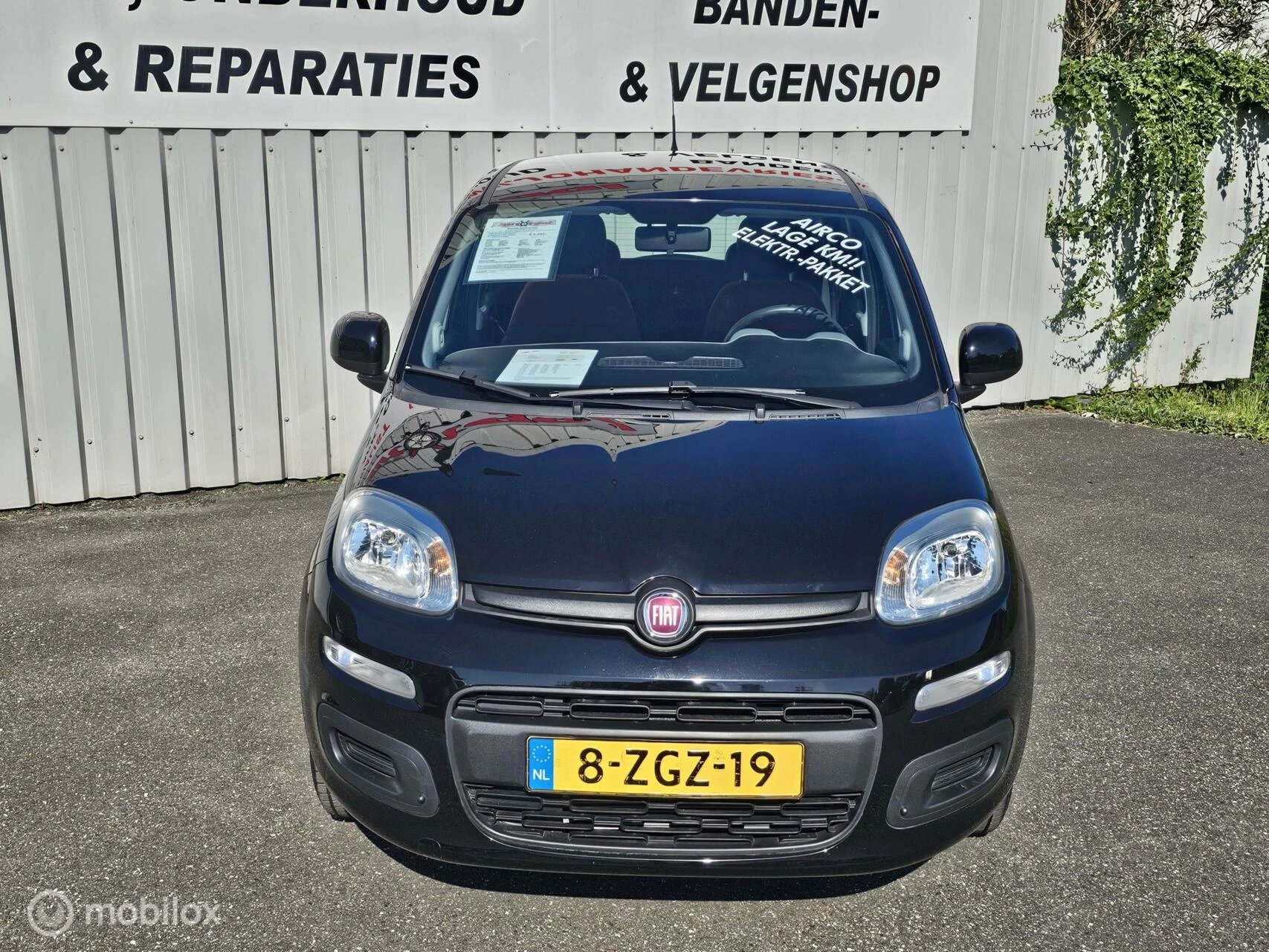 Hoofdafbeelding Fiat Panda