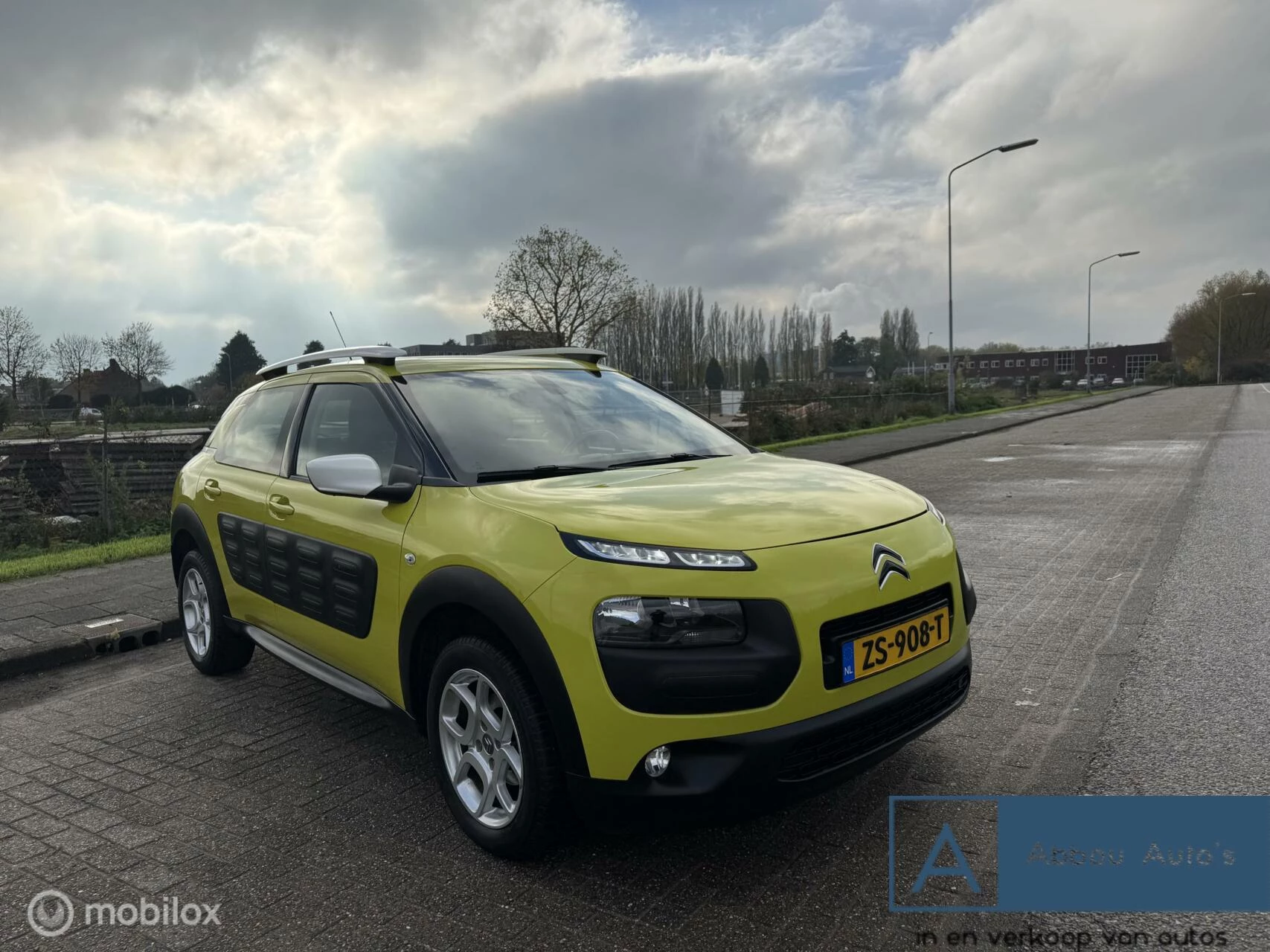 Hoofdafbeelding Citroën C4 Cactus