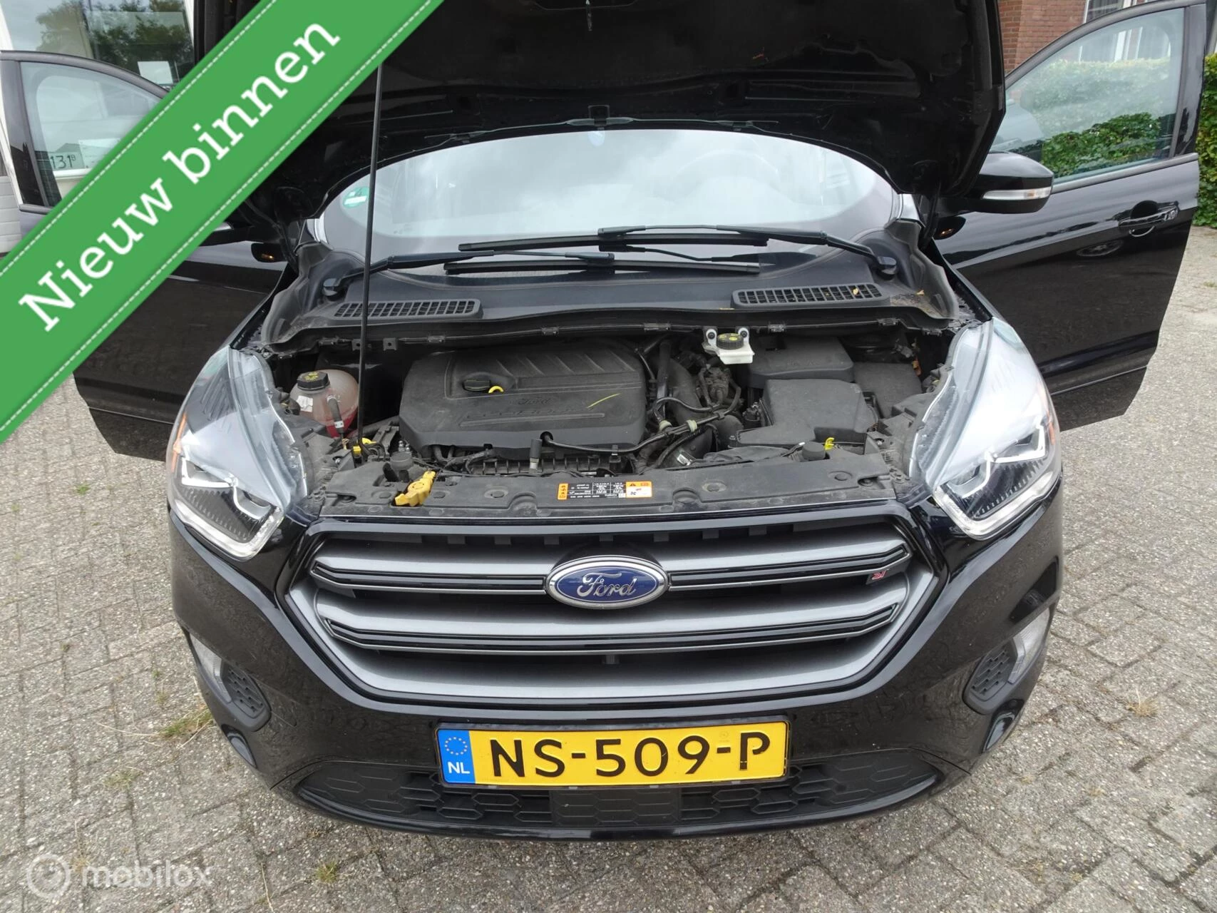 Hoofdafbeelding Ford Kuga