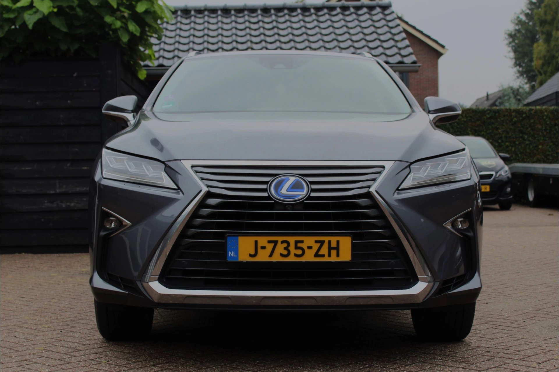 Hoofdafbeelding Lexus RX