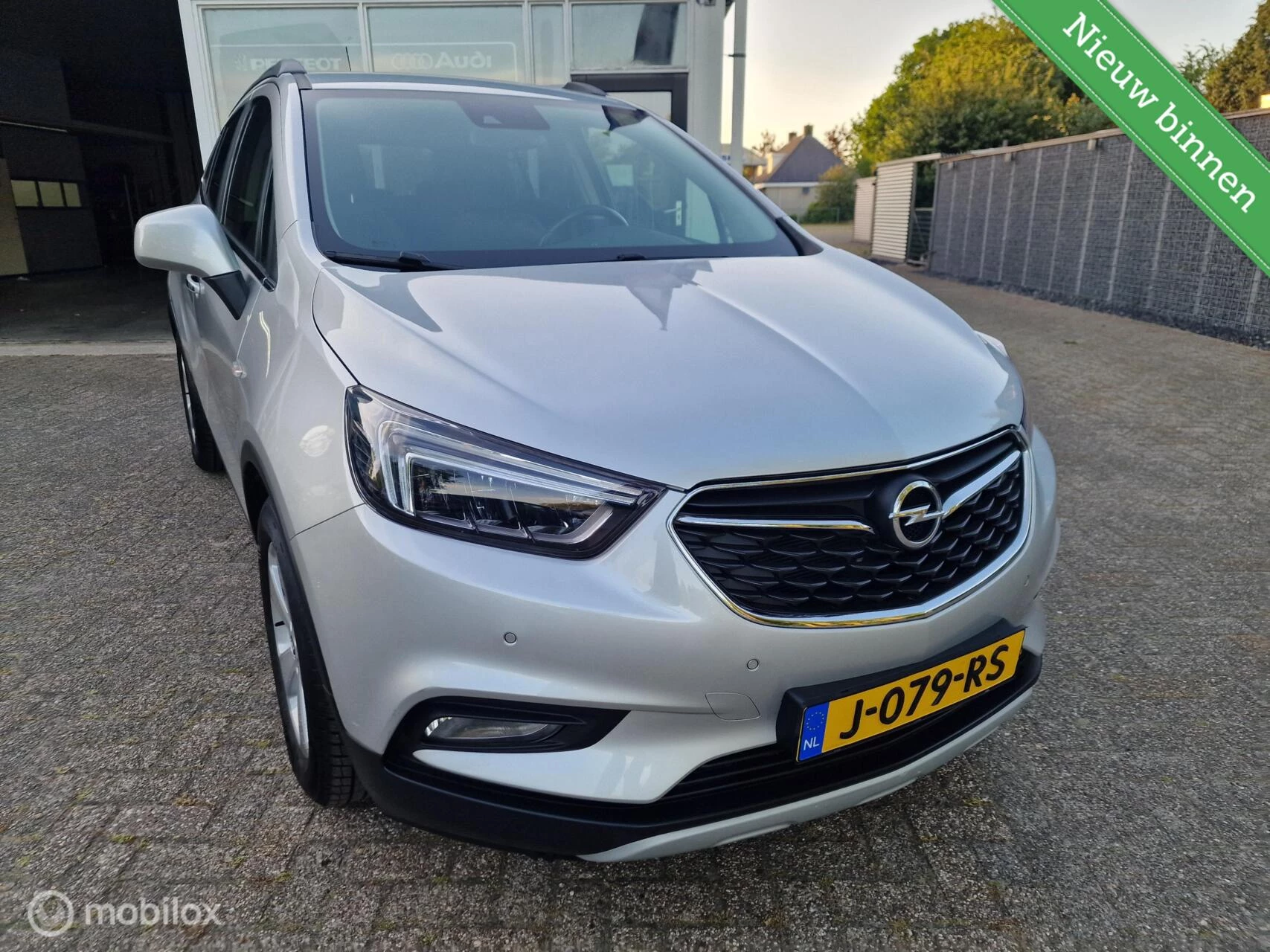 Hoofdafbeelding Opel Mokka X