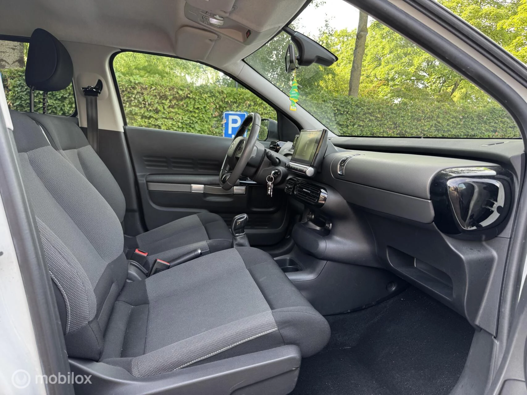 Hoofdafbeelding Citroën C4 Cactus