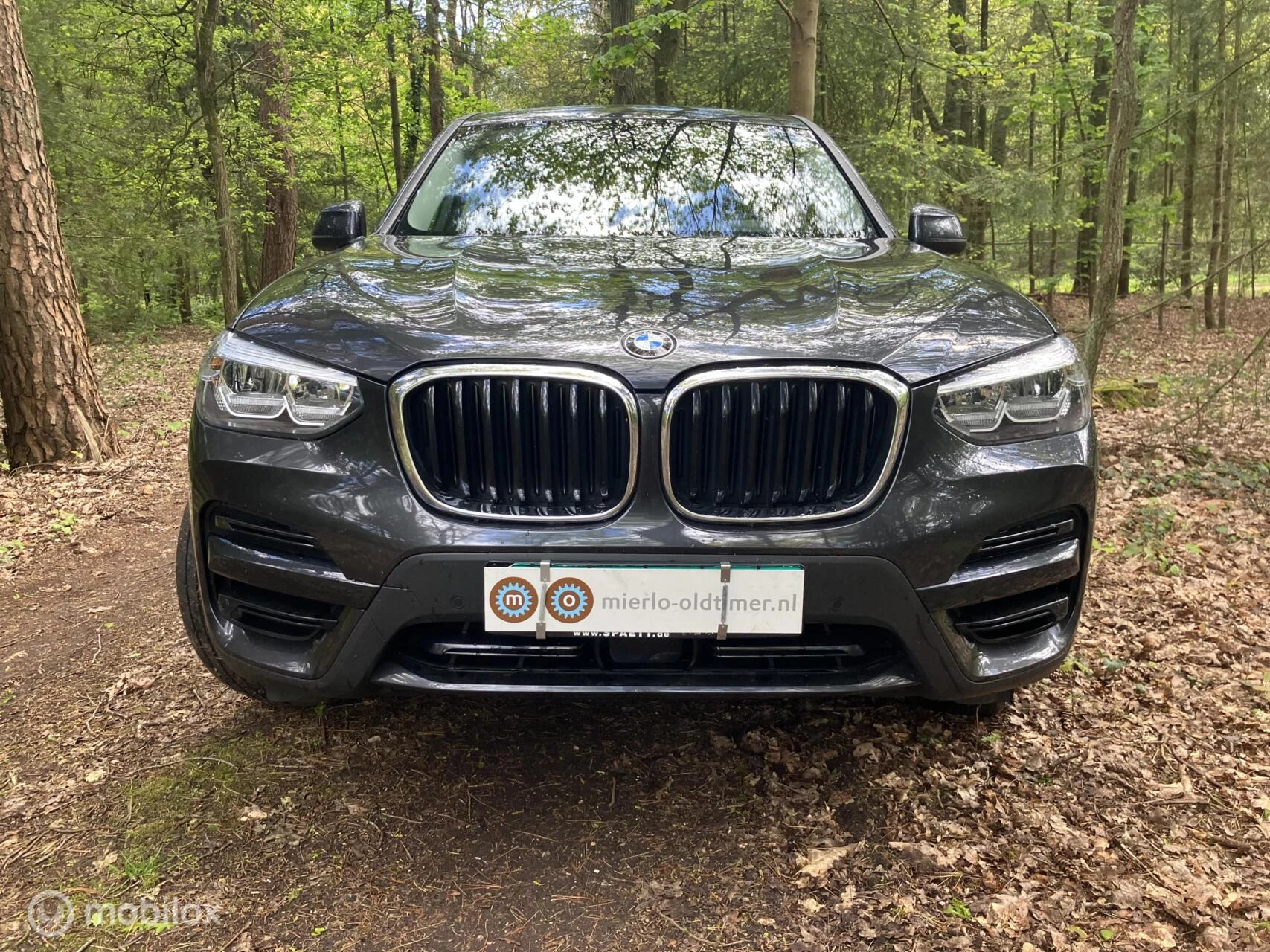 Hoofdafbeelding BMW X3