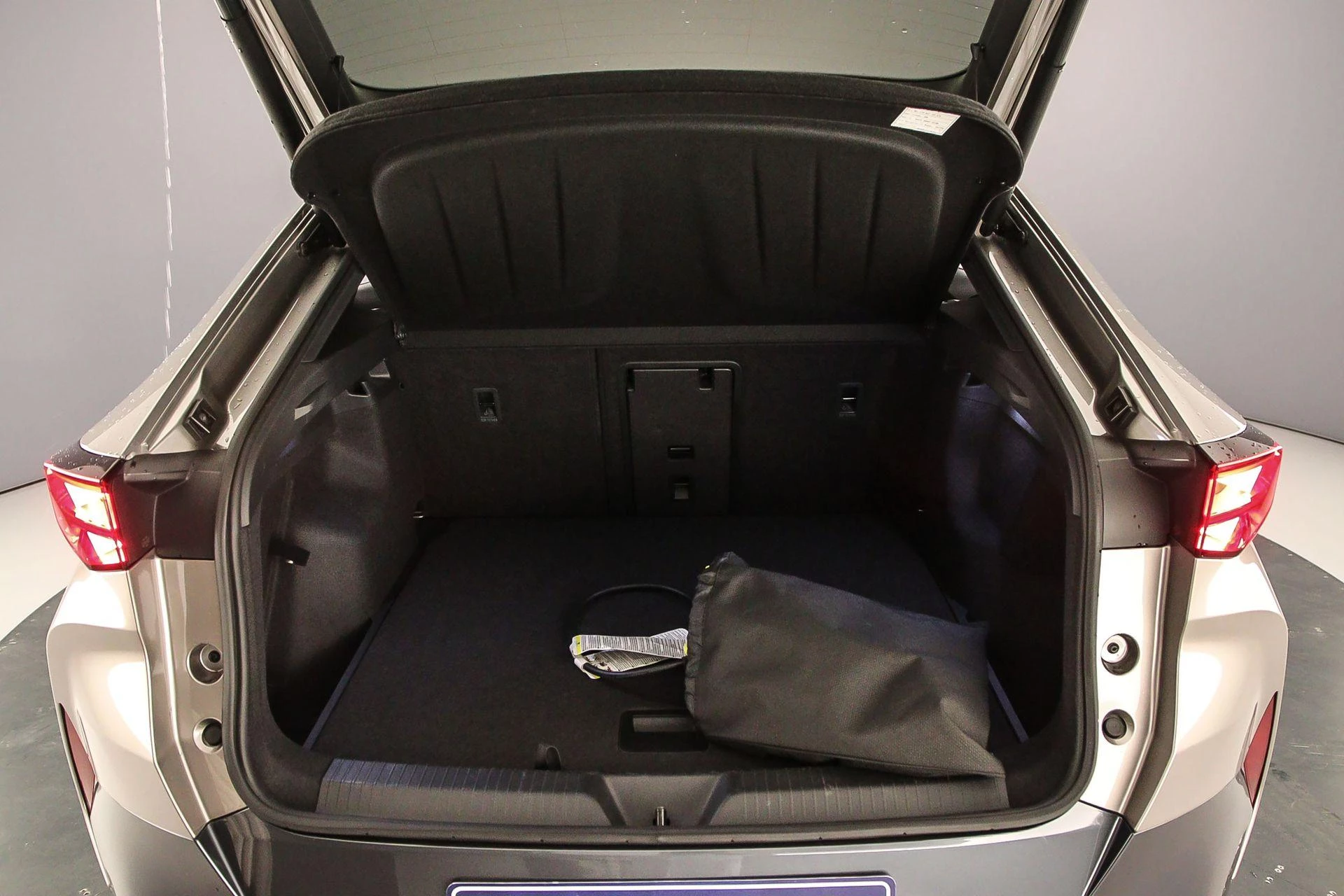 Hoofdafbeelding CUPRA Tavascan