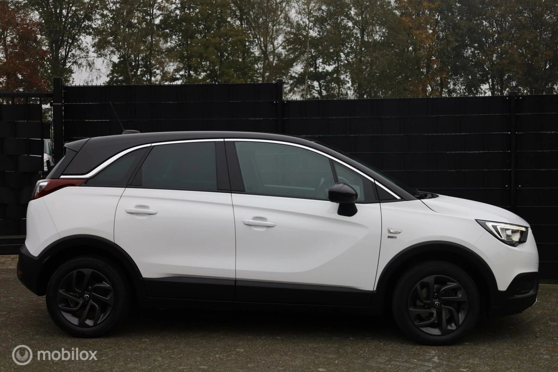 Hoofdafbeelding Opel Crossland X